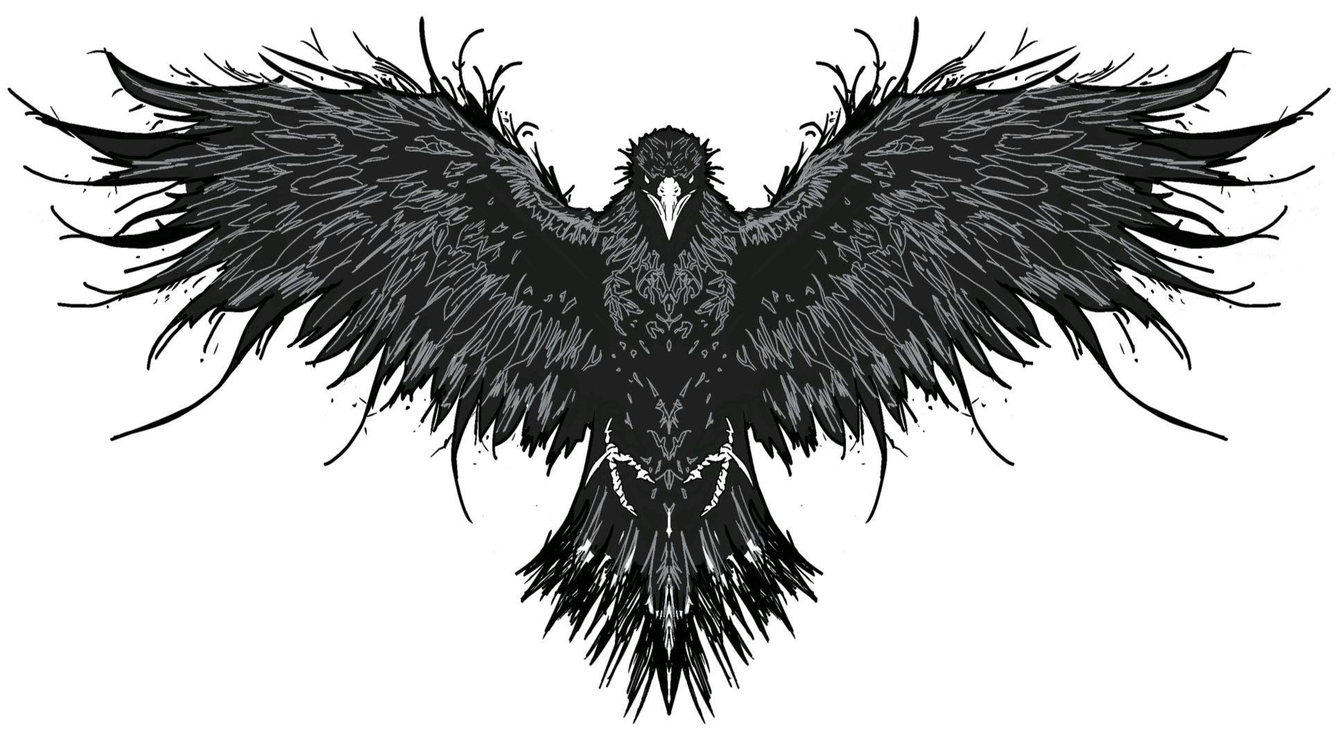 Outline drawing of a bird with wings spread, resembling an eagle or hawk, in white lines on a black background.