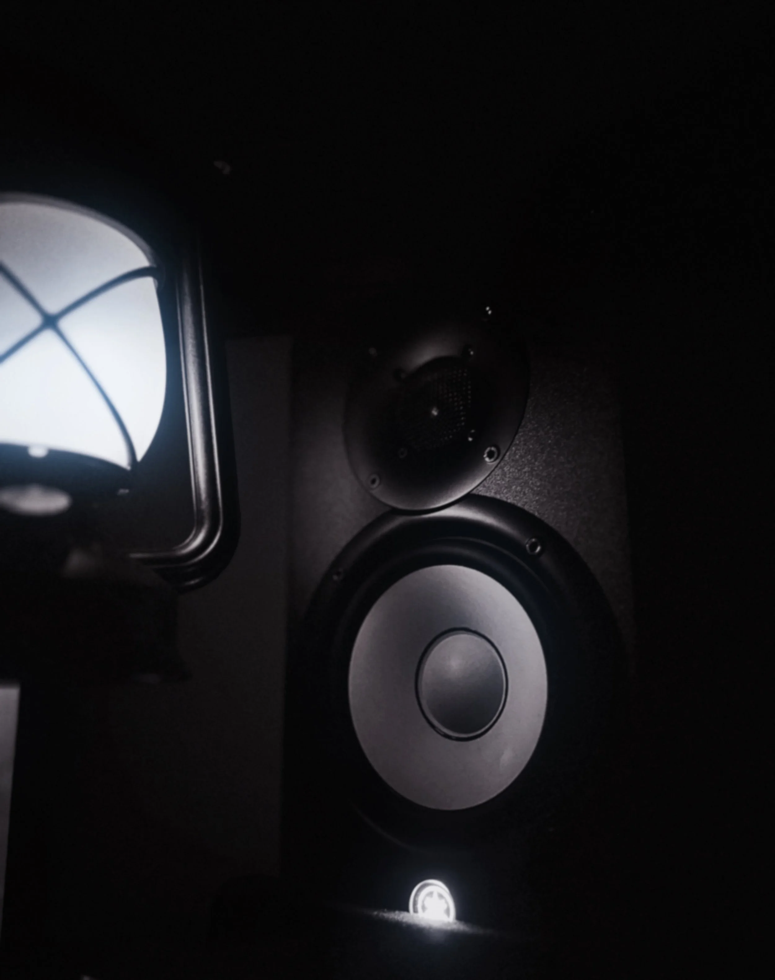 Close-up of a car speaker system in an owner’s vehicle interior, featuring multiple round speakers and a partially visible window with grid pattern in the background.