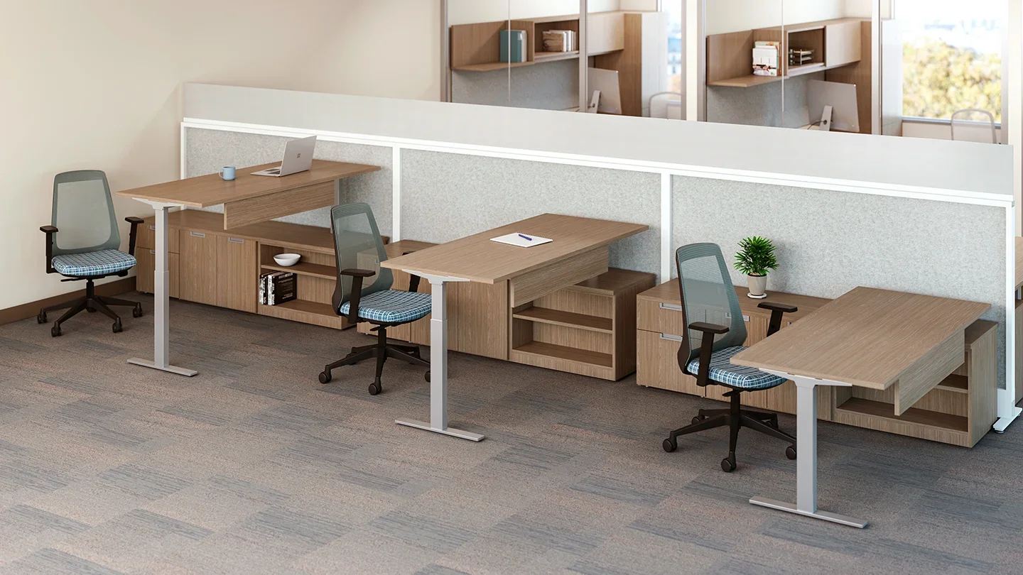 Office 17.webp