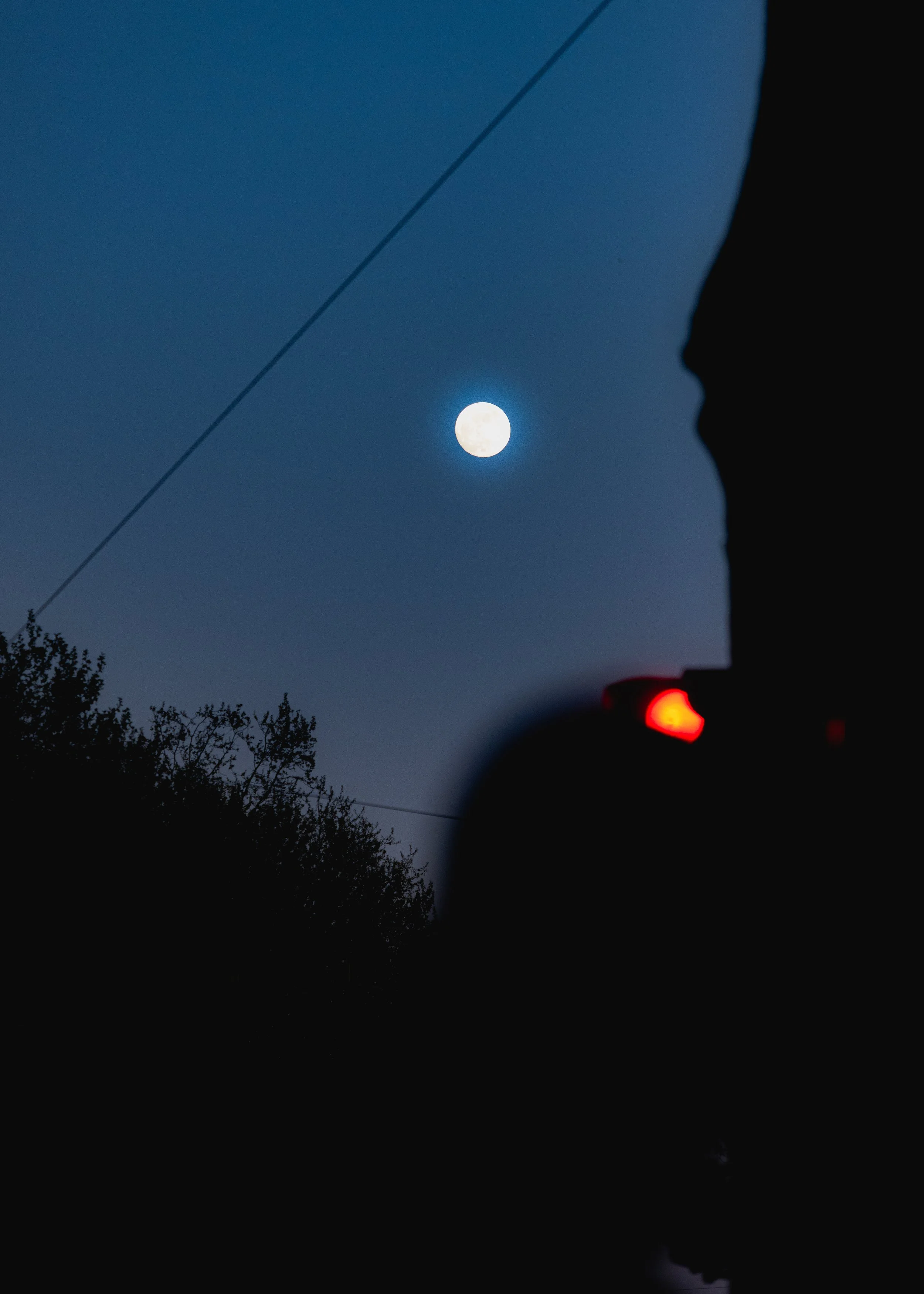 COOL SNAPS-5.jpg