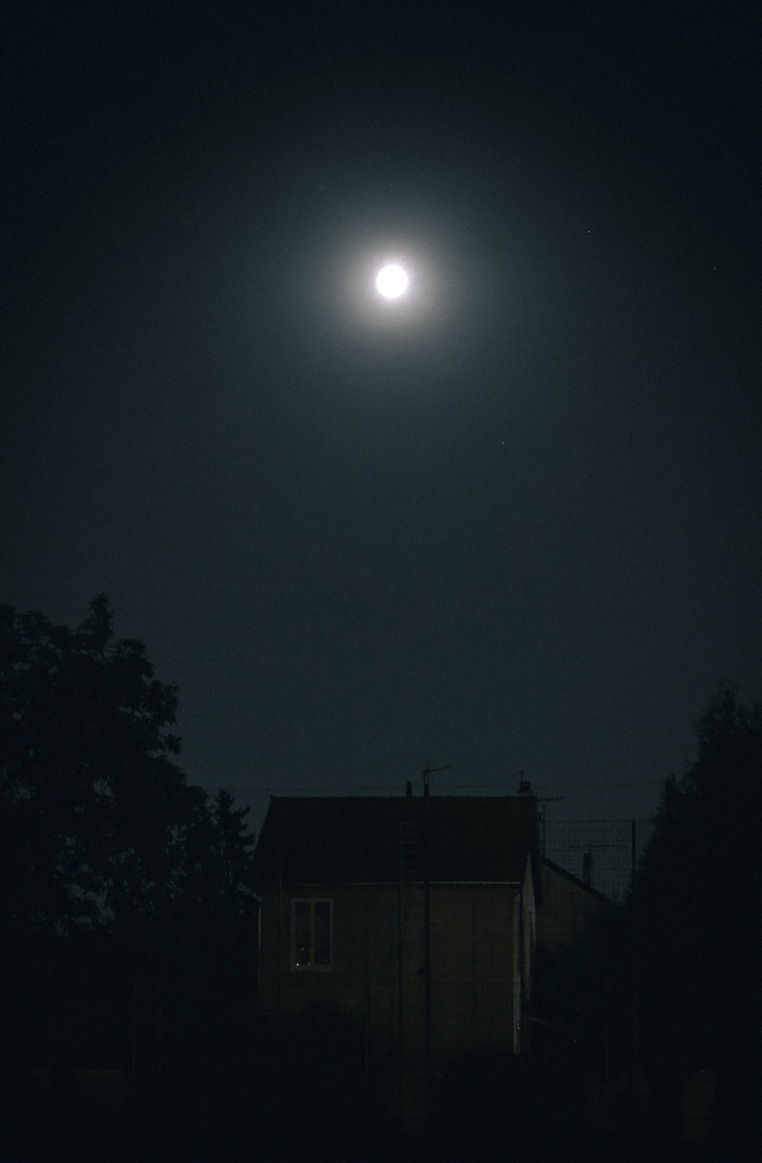 COOL SNAPS-3.jpg