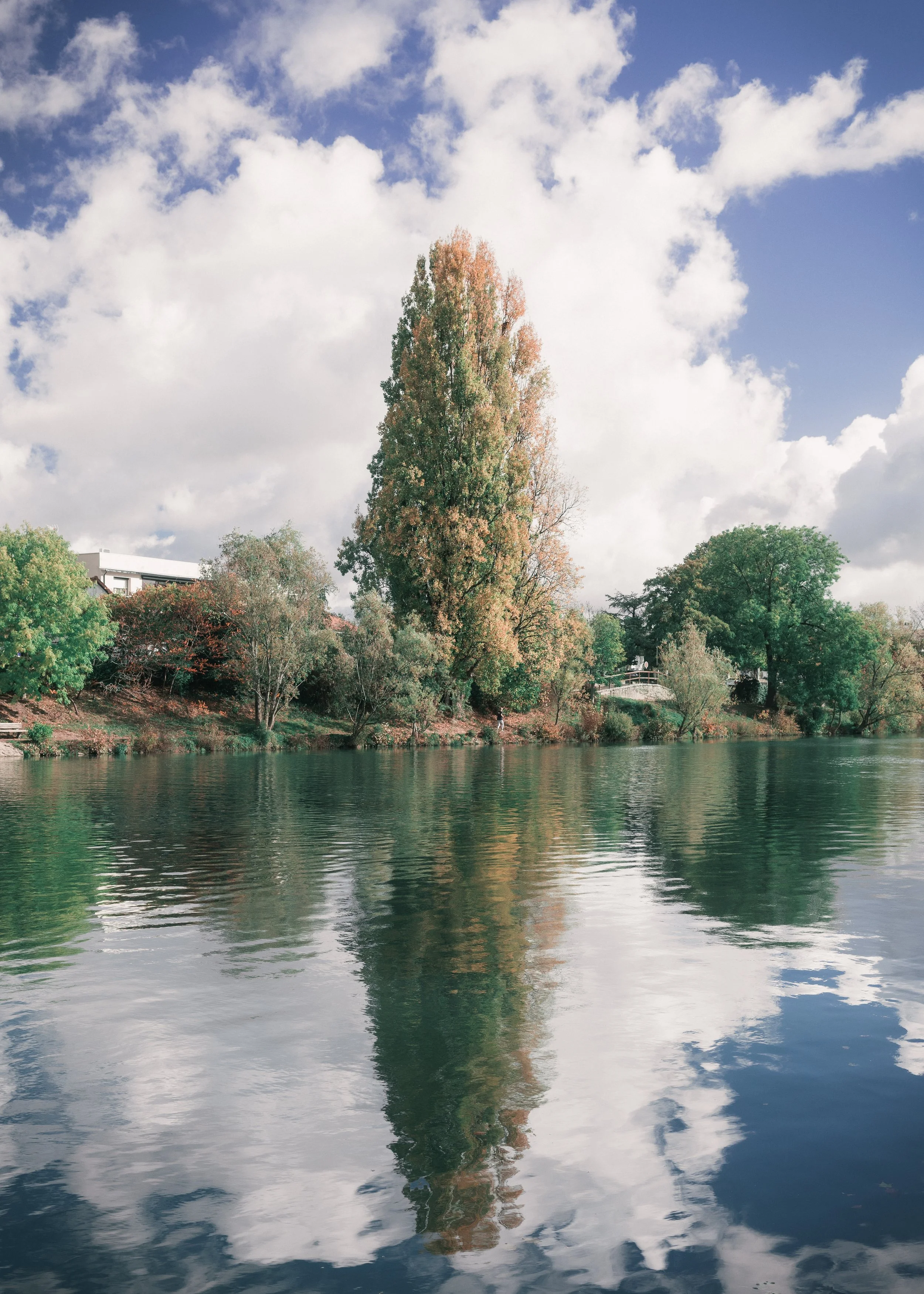 2025_10_26_BORDS_DE_MARNE-4 copie.jpg
