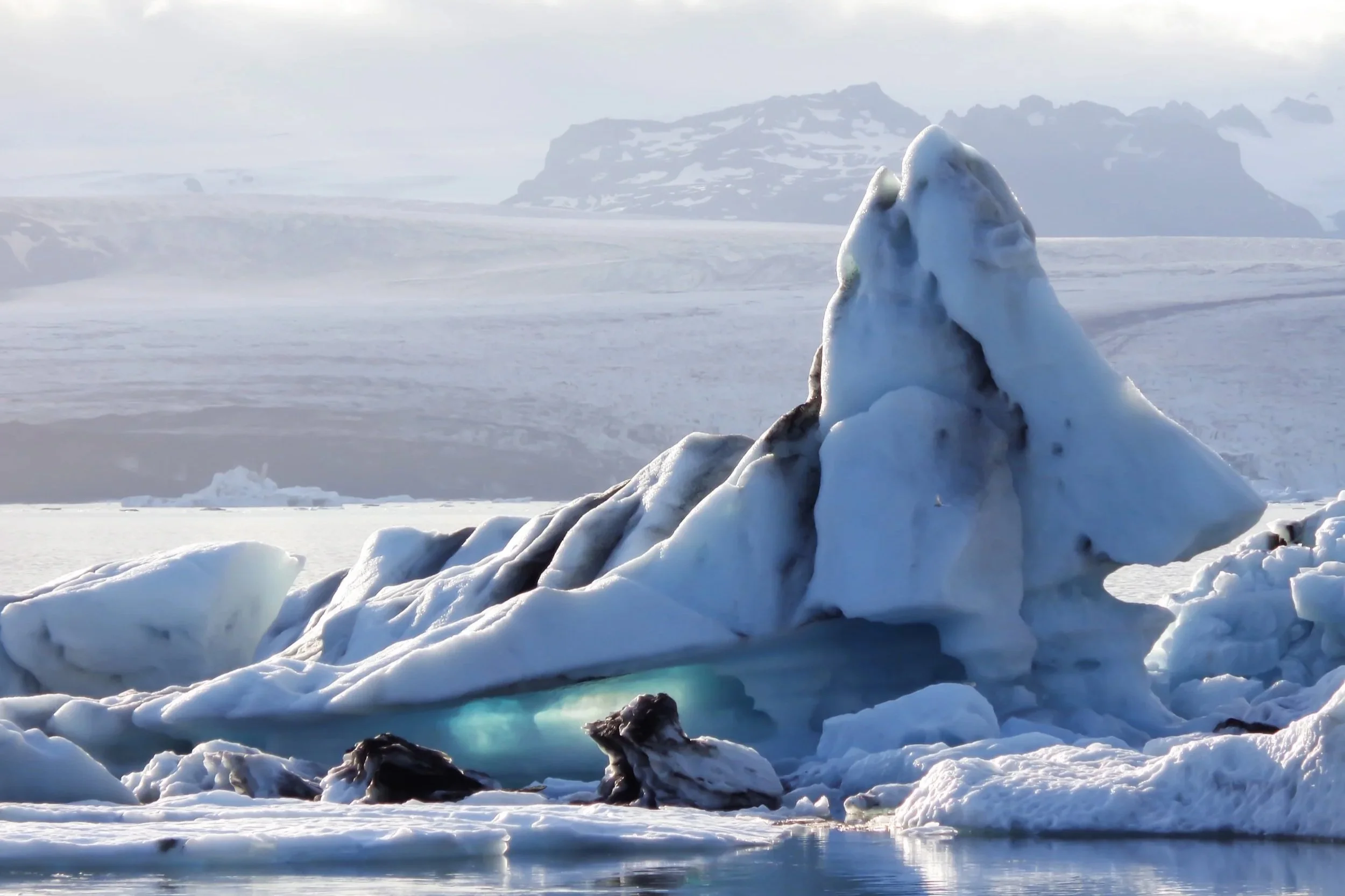 Seals resting among icebergs in Jökulsárlón glacier lagoon in Iceland