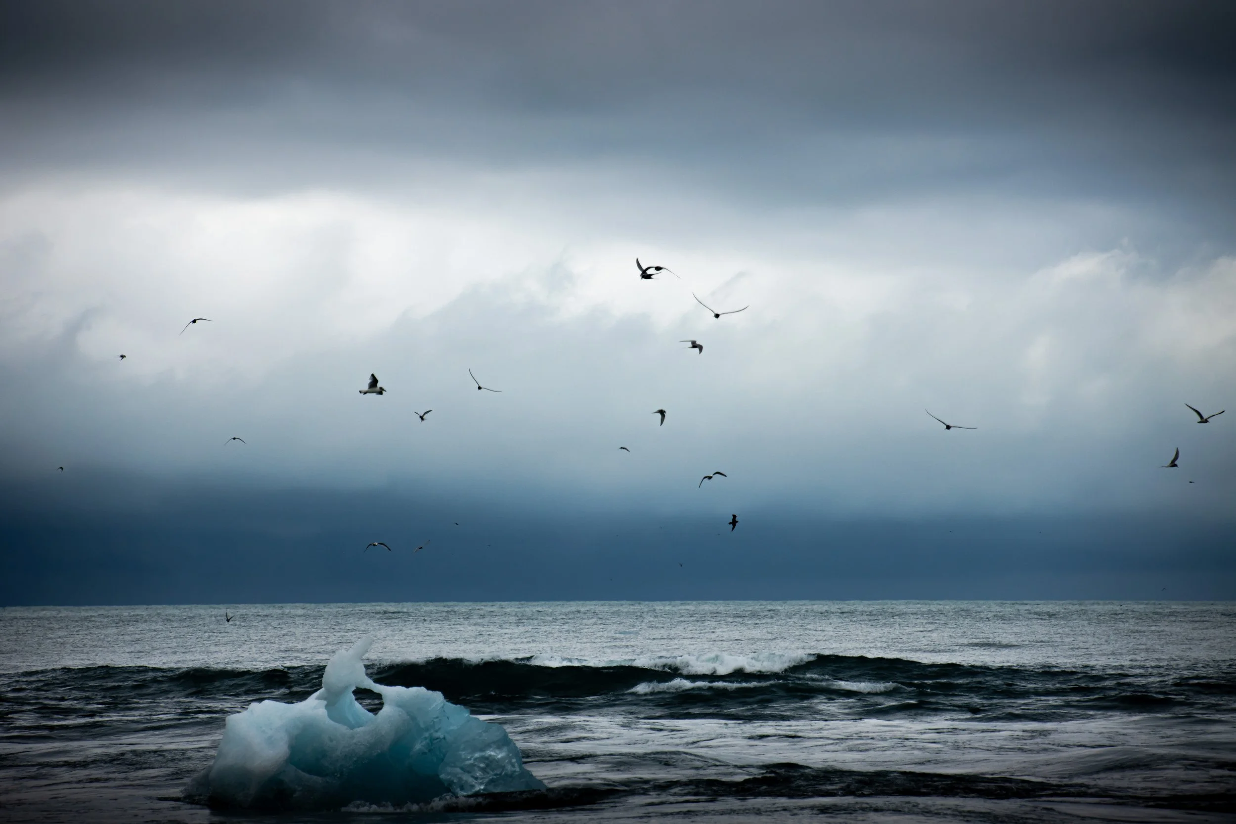 Icebergs washed onto the black sand of Diamond Beach in Iceland