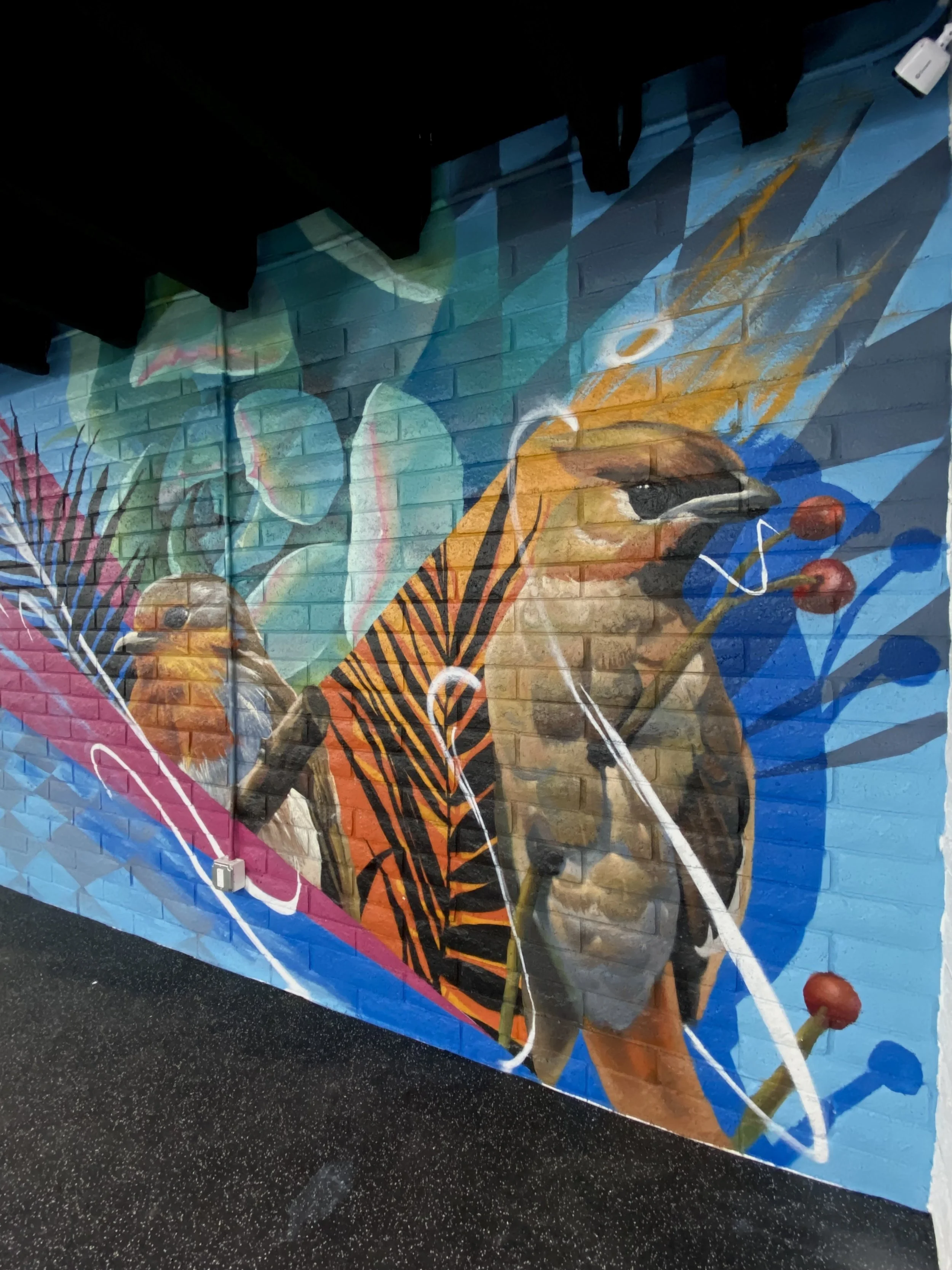 A colorful mural painted on a brick wall featuring a bird with long beak, an orange and black patterned body, surrounded by abstract shapes and vibrant colors.