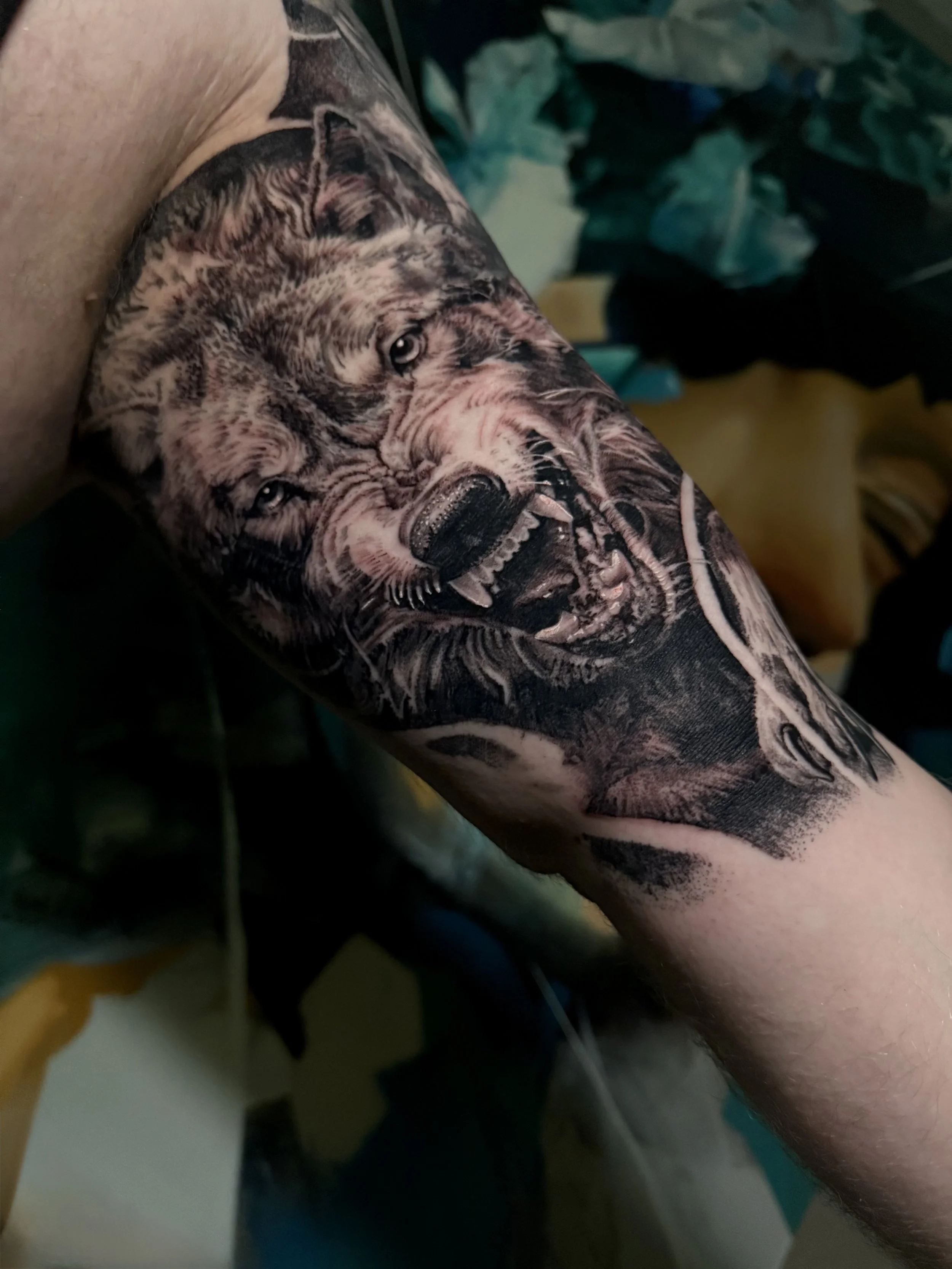 Tattoo of a wolf's face on a person's arm, showing detailed fur and intense eyes.