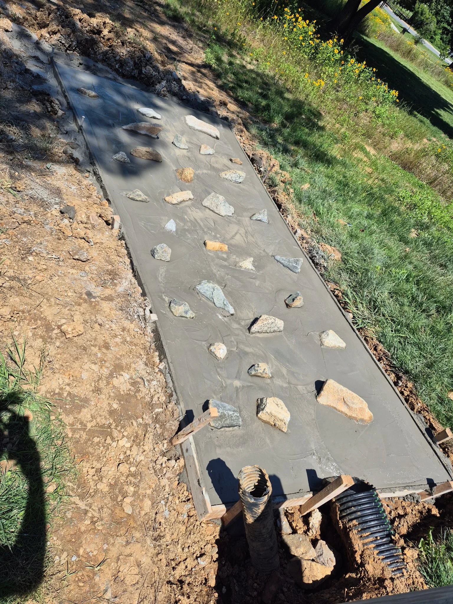 A sidewalk under construction with fresh concrete and rocks embedded in it. There is a black corrugated pipe running into the concrete and some wooden forms along the edge. The area around the sidewalk has dirt and grass, with flowers and trees in the background.