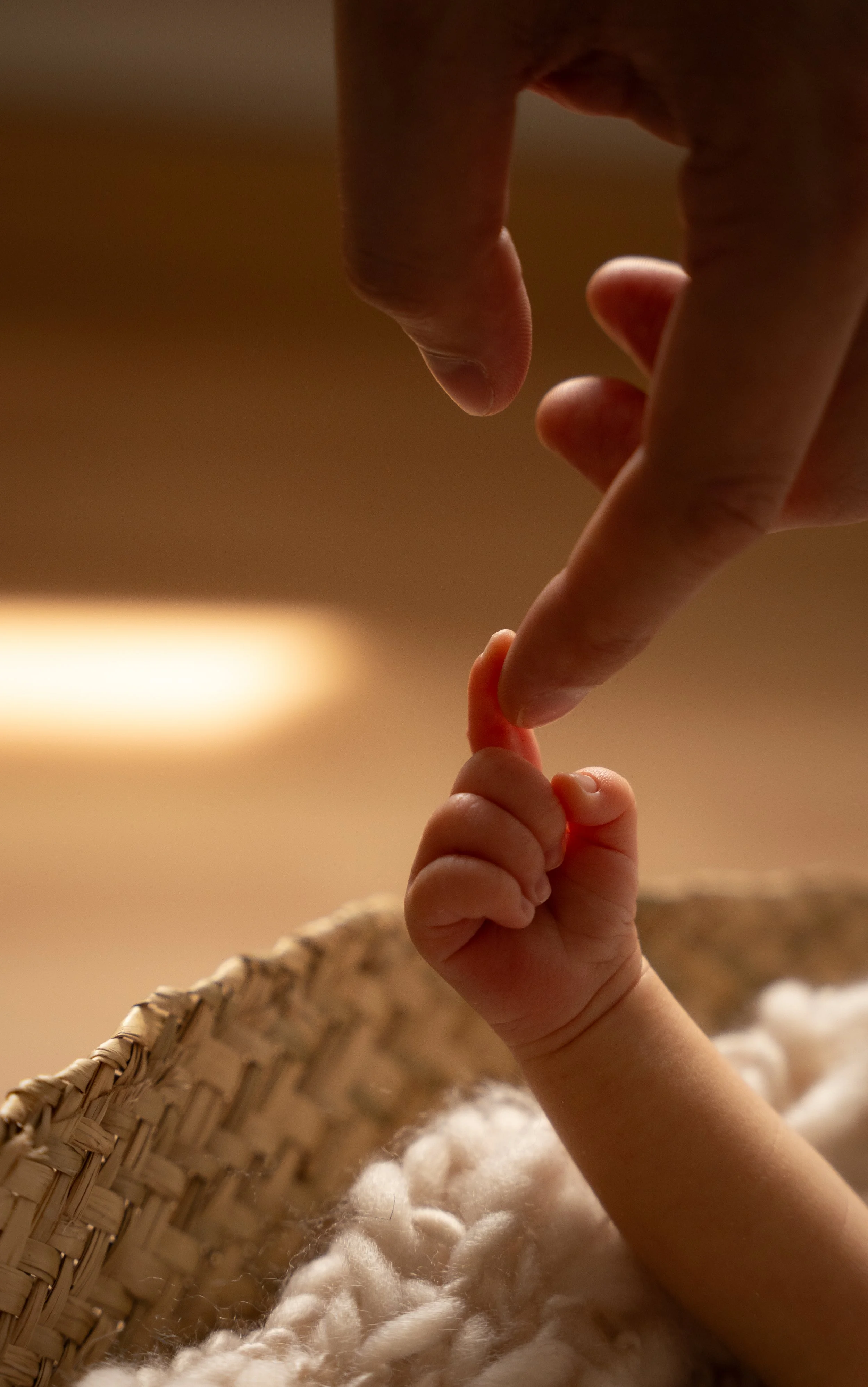 Ein Erwachsener hält einen kleinen Finger einer Babyperson. Das Bild zeigt Handbewegungen, eine gewebte Korb und weiche textiles Material im Hintergrund.