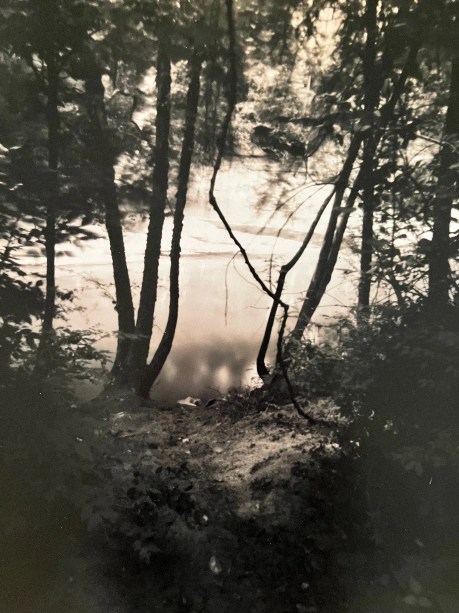 Peachtree Fort Park
10” x 8”
silver gelatin print