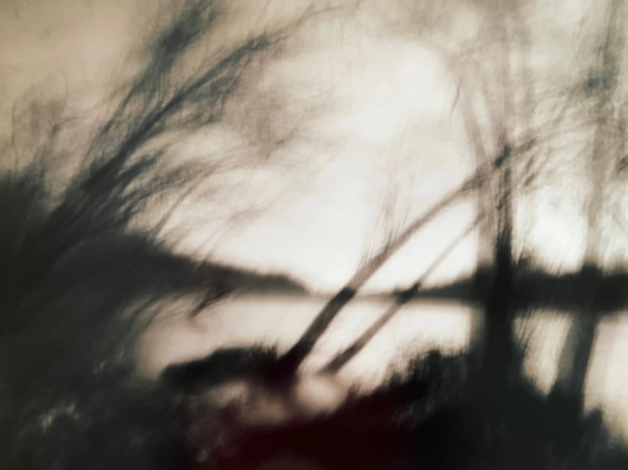 Chattahoochee River #3
10 “ x 8”
silver gelatin print