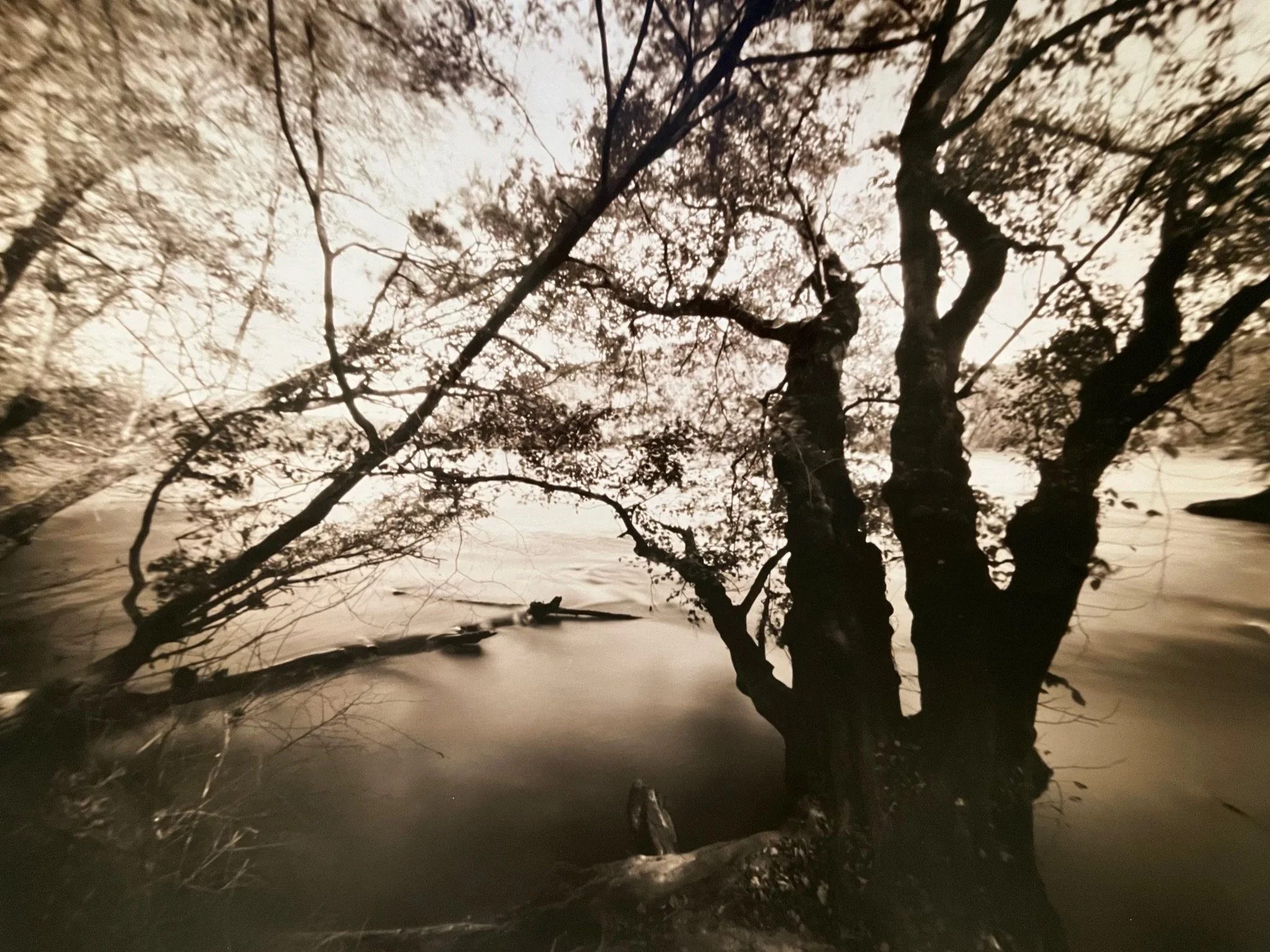 Cochran Shoals #2
10” x 8 “
silver gelatin print