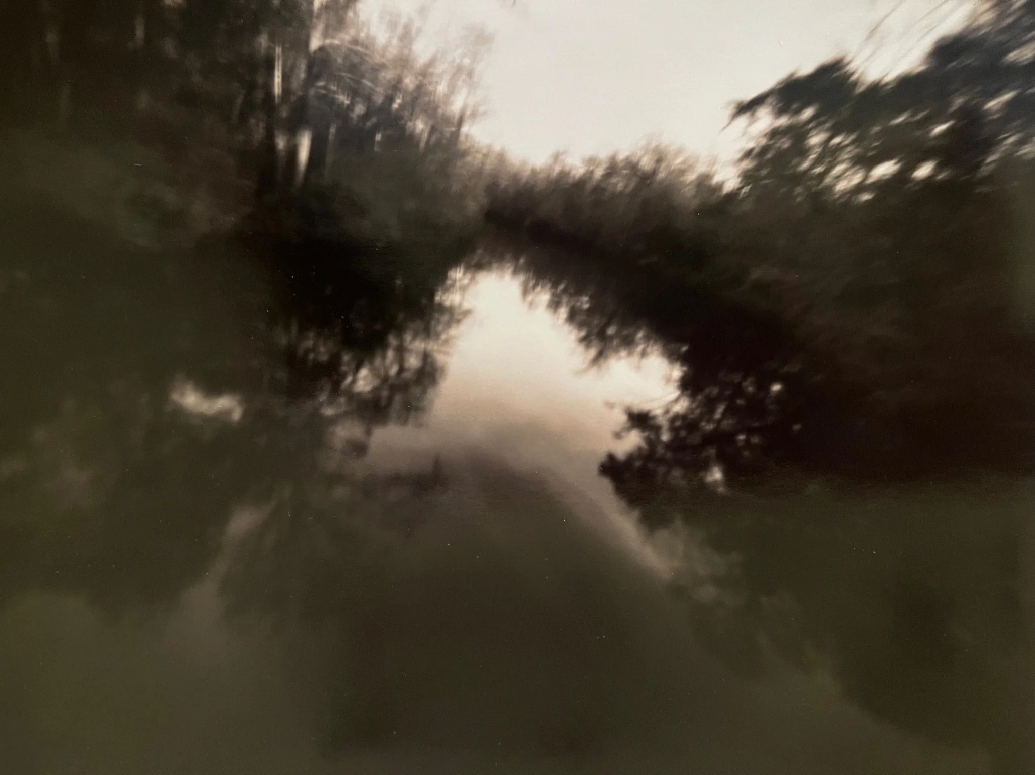 Wambau Creek
10 “ x 8 ”
silver gelatin print