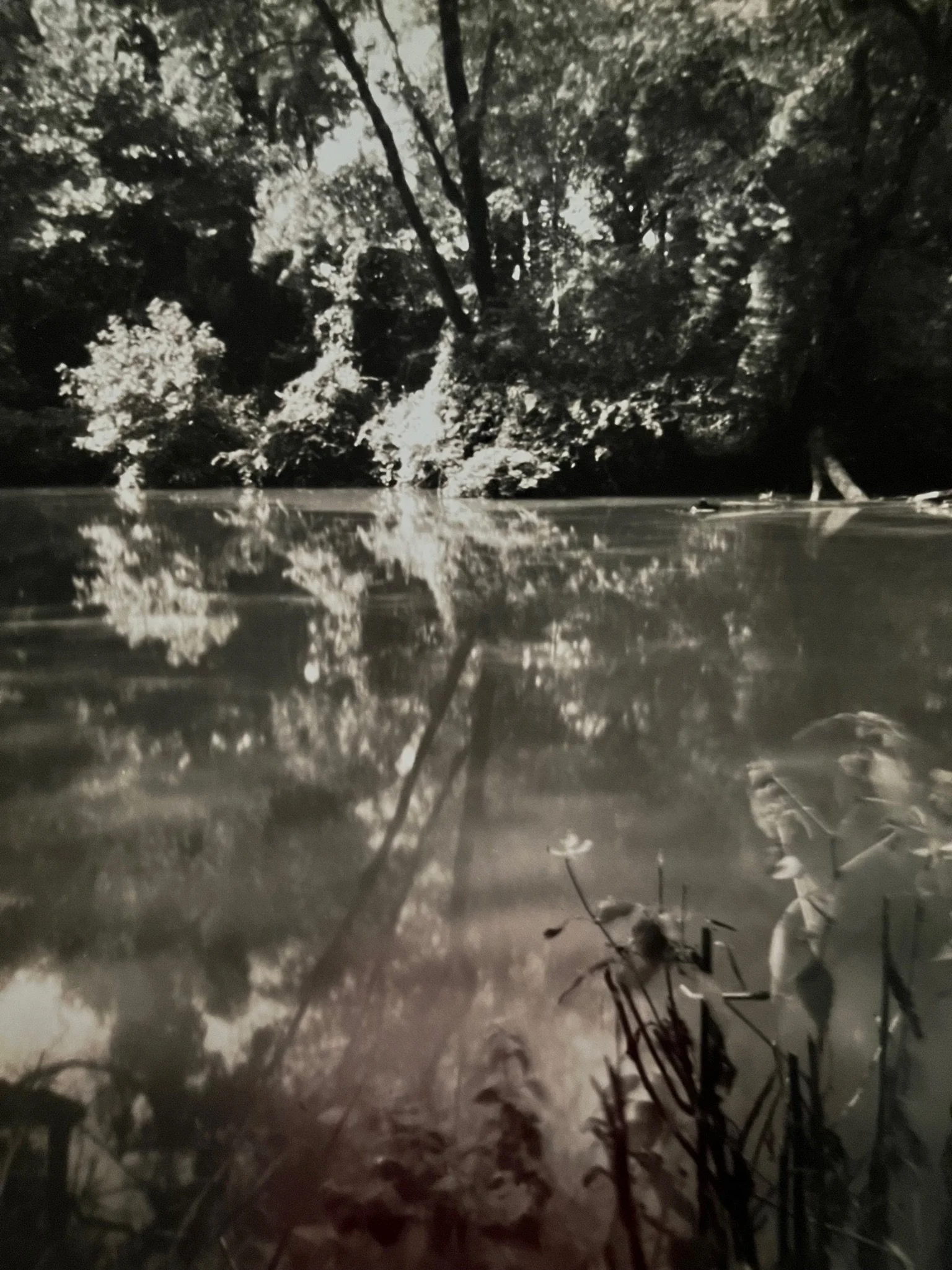 Vickery Creek #2
10”x 8”
silver gelatin print