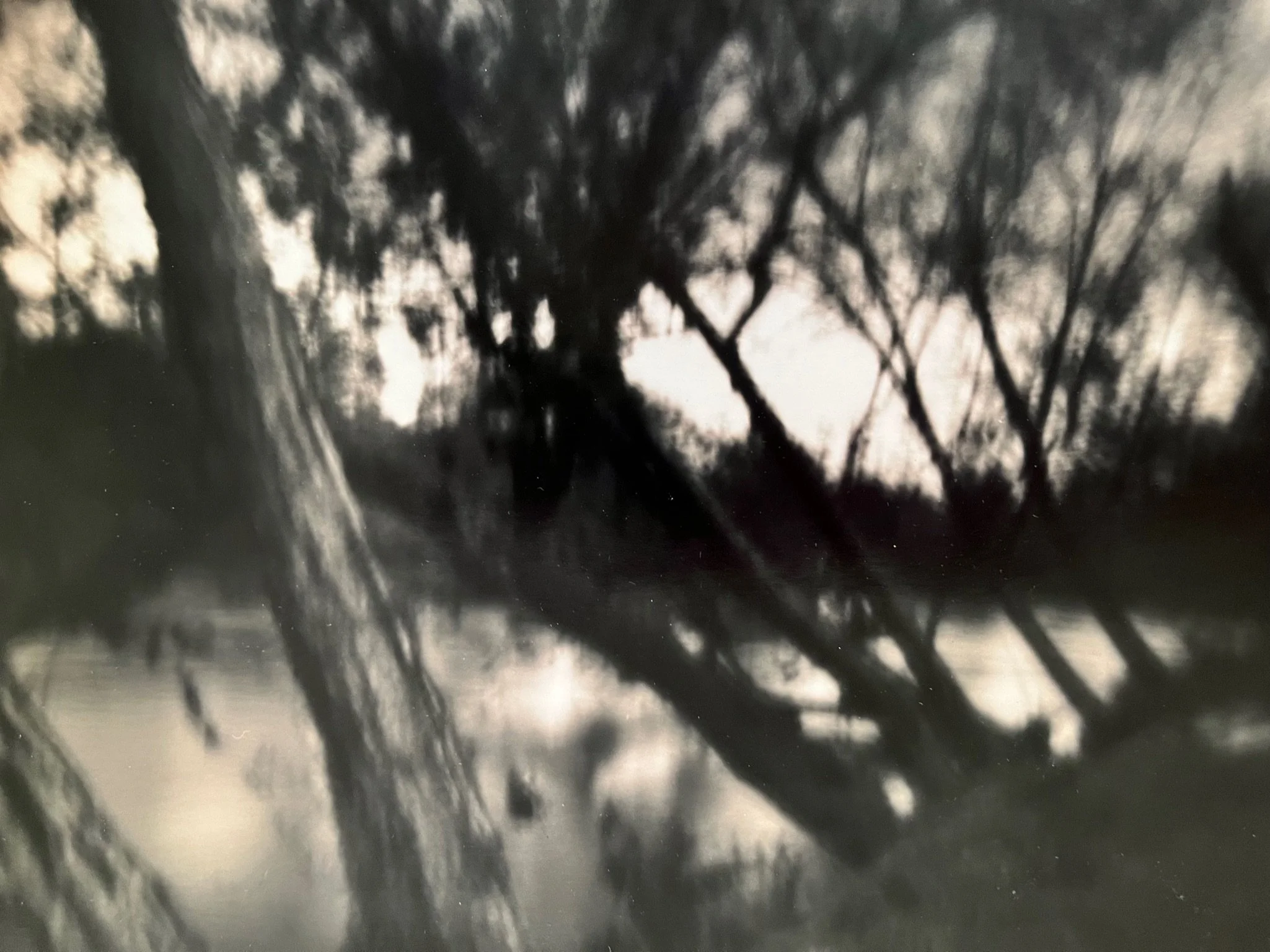 Chattahoochee River #6
10” x 8”
silver gelatin print