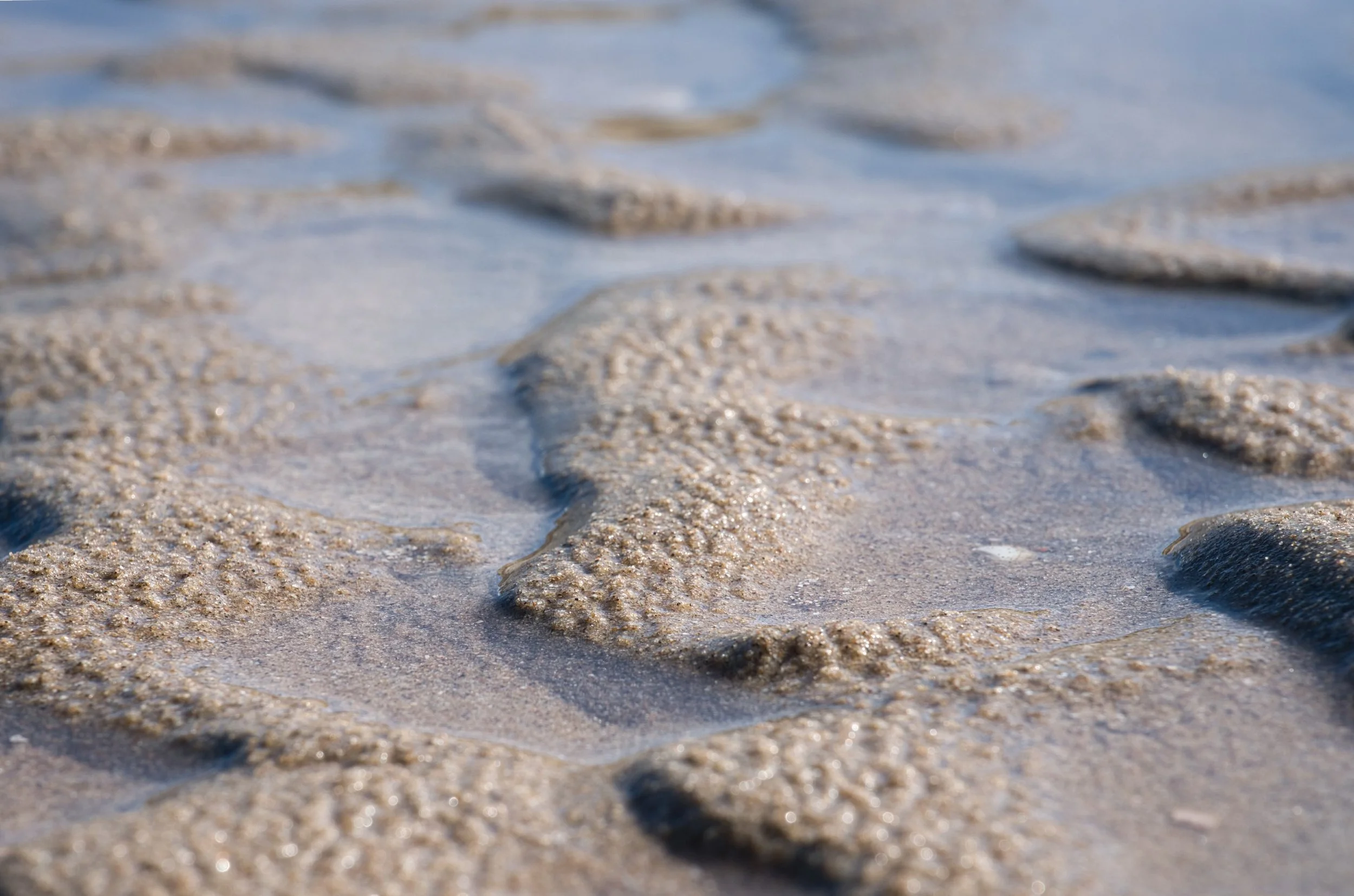 Tidal Lines in Soft Light, Zandvoort, Noord-Holland