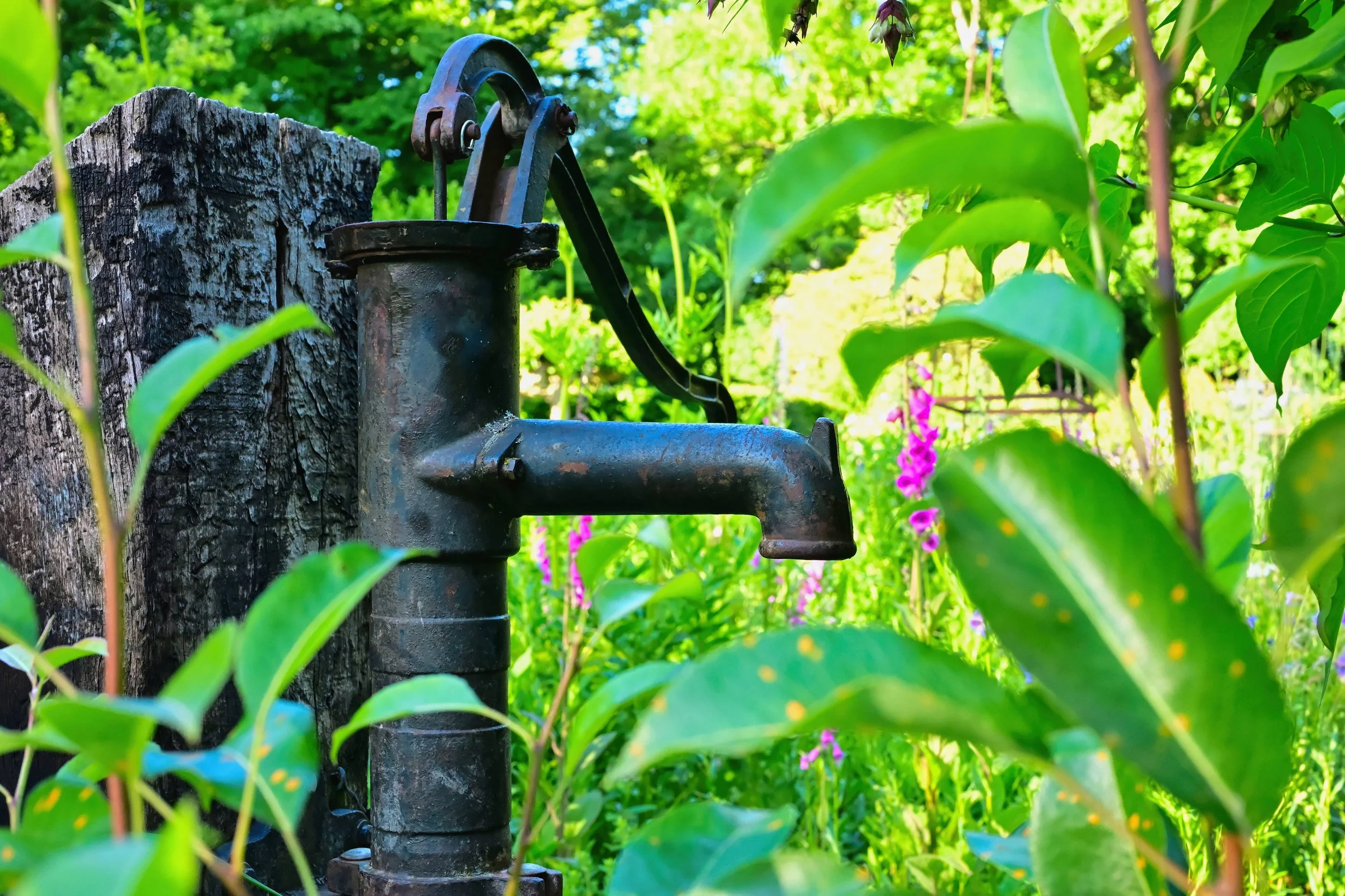 Oude waterpomp in een groene tuin met bloemen, landelijke wanddecoratie gefotografeerd door Vague and Form by Rogier van Bunnik.