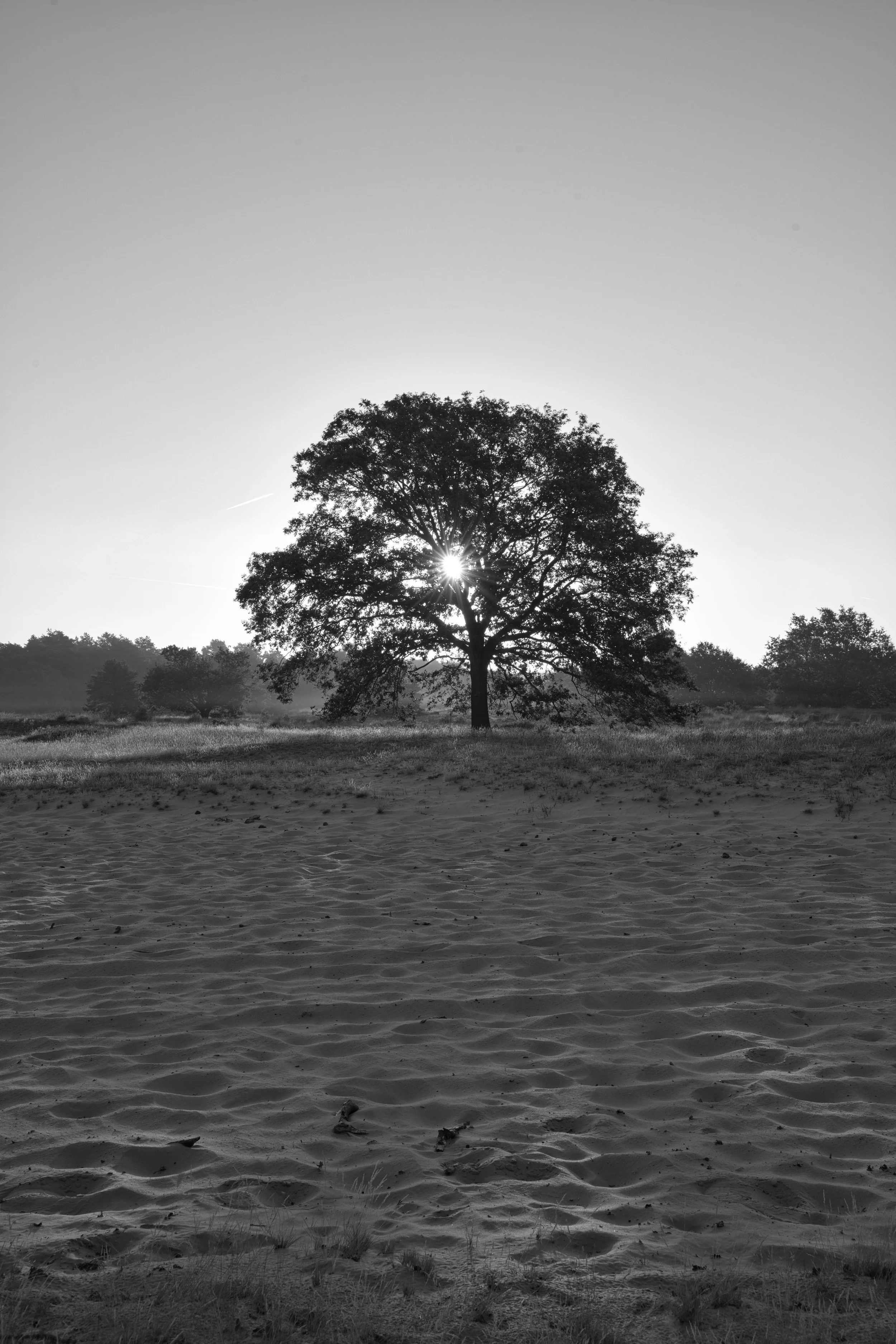 NIK_7090.jpg