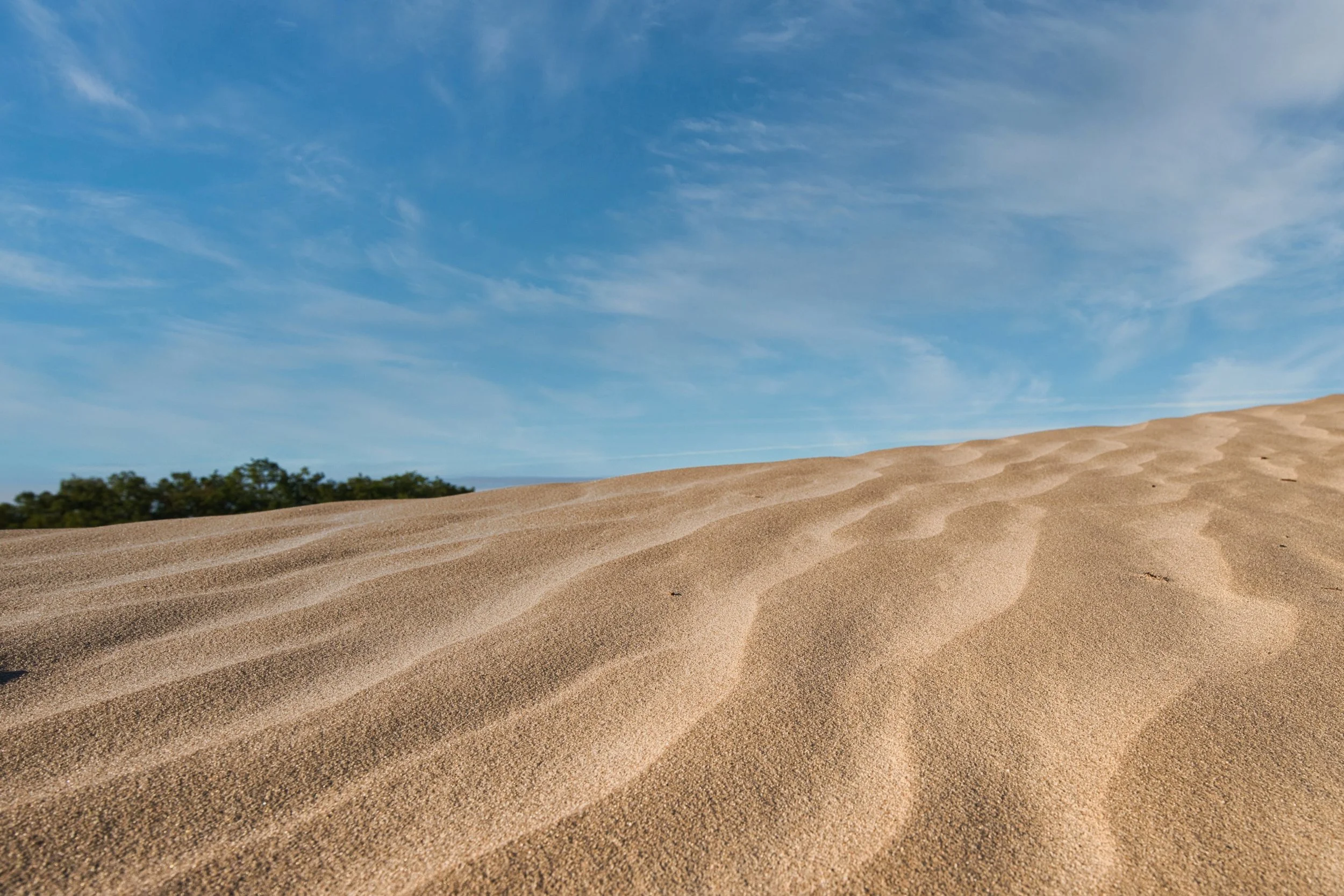 Fine ripples formed by wind create a gentle rhythm across the sand.