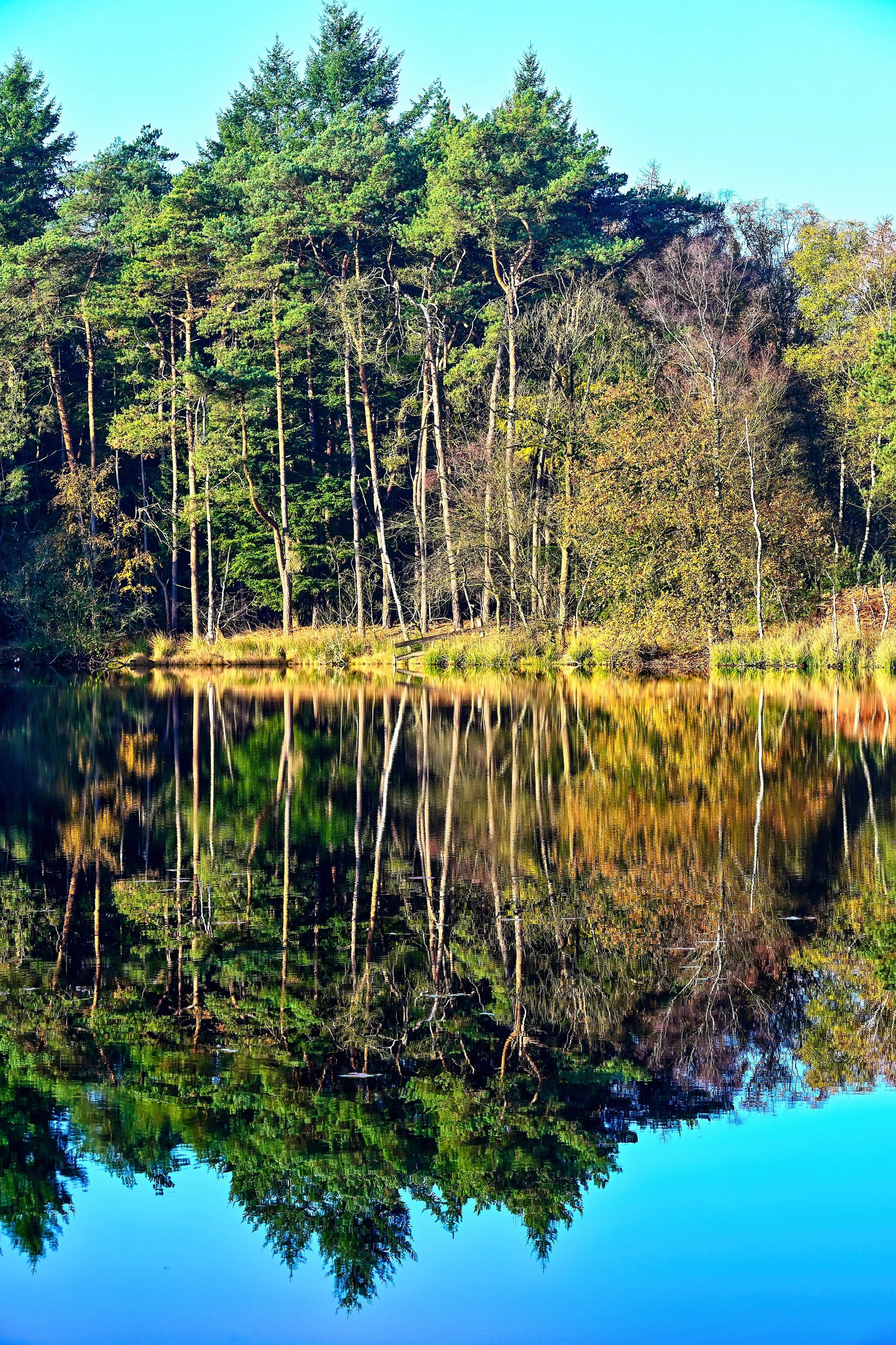 Warme reflectie in het water