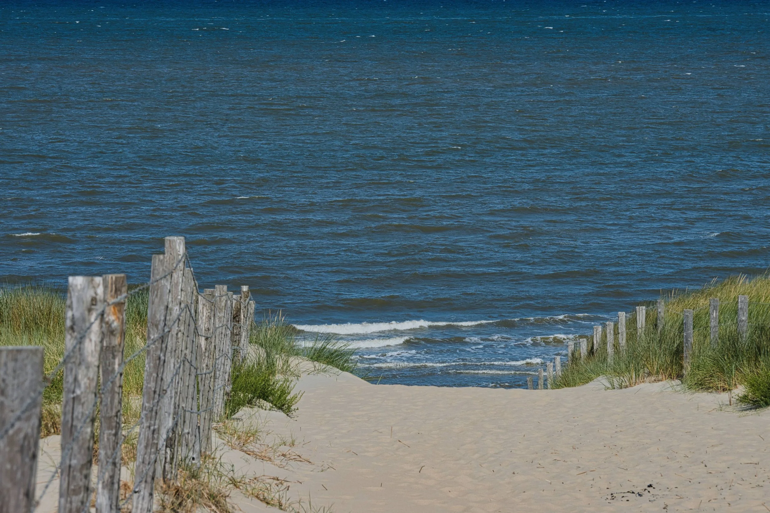 Pad door de duinen naar de zee, rustgevende strand- en kustfotografie voor aan de muur door Vague and Form by Rogier van Bunnik.