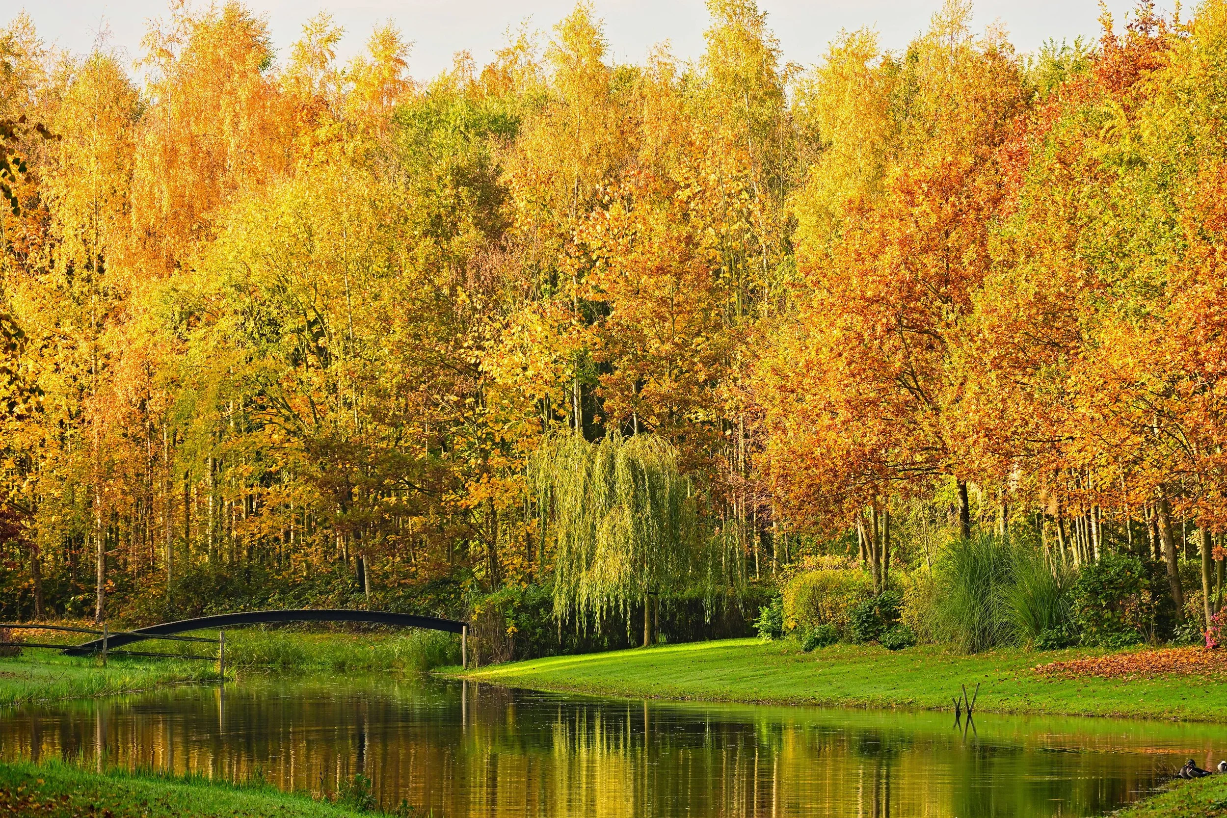 Rustgevende landschapsfotografie met herfstreflecties van bomen in stilstaand water — Vague and Form by Rogier van Bunnik fotokunst.