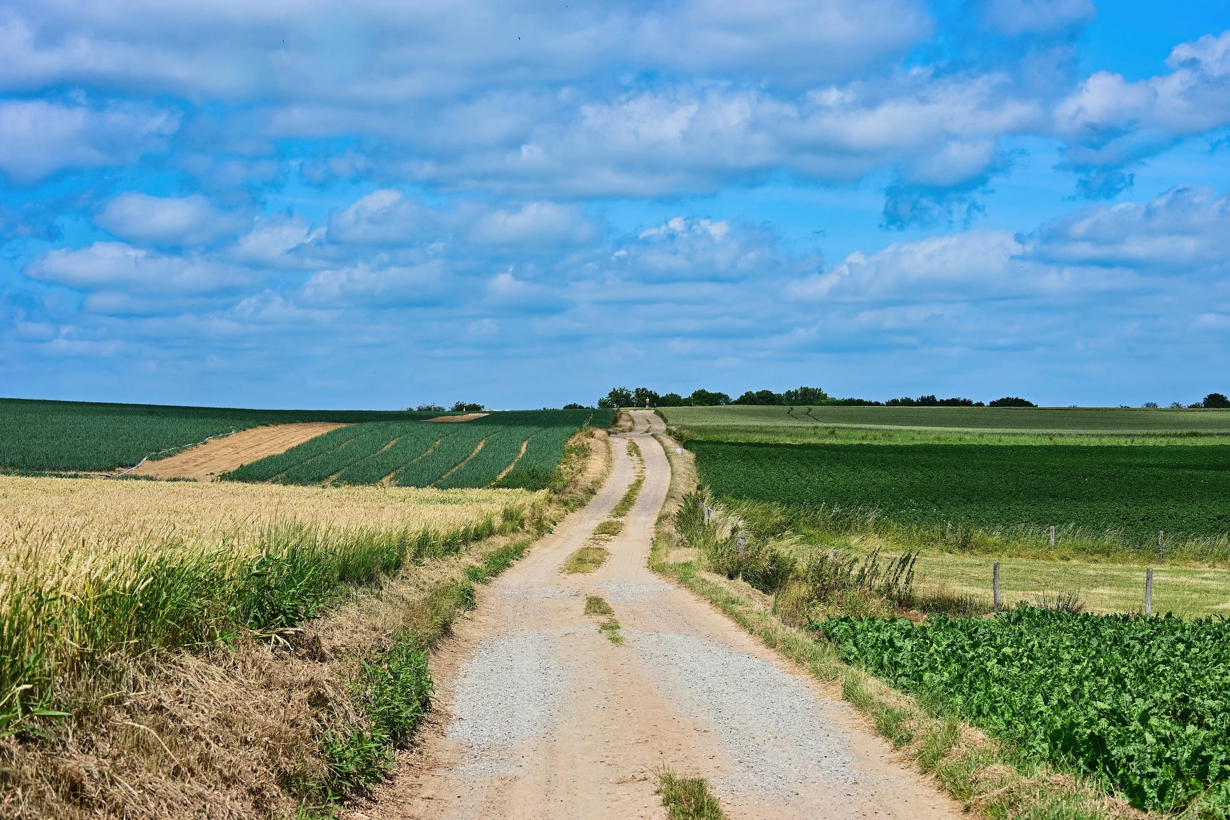 Weg van het open veld