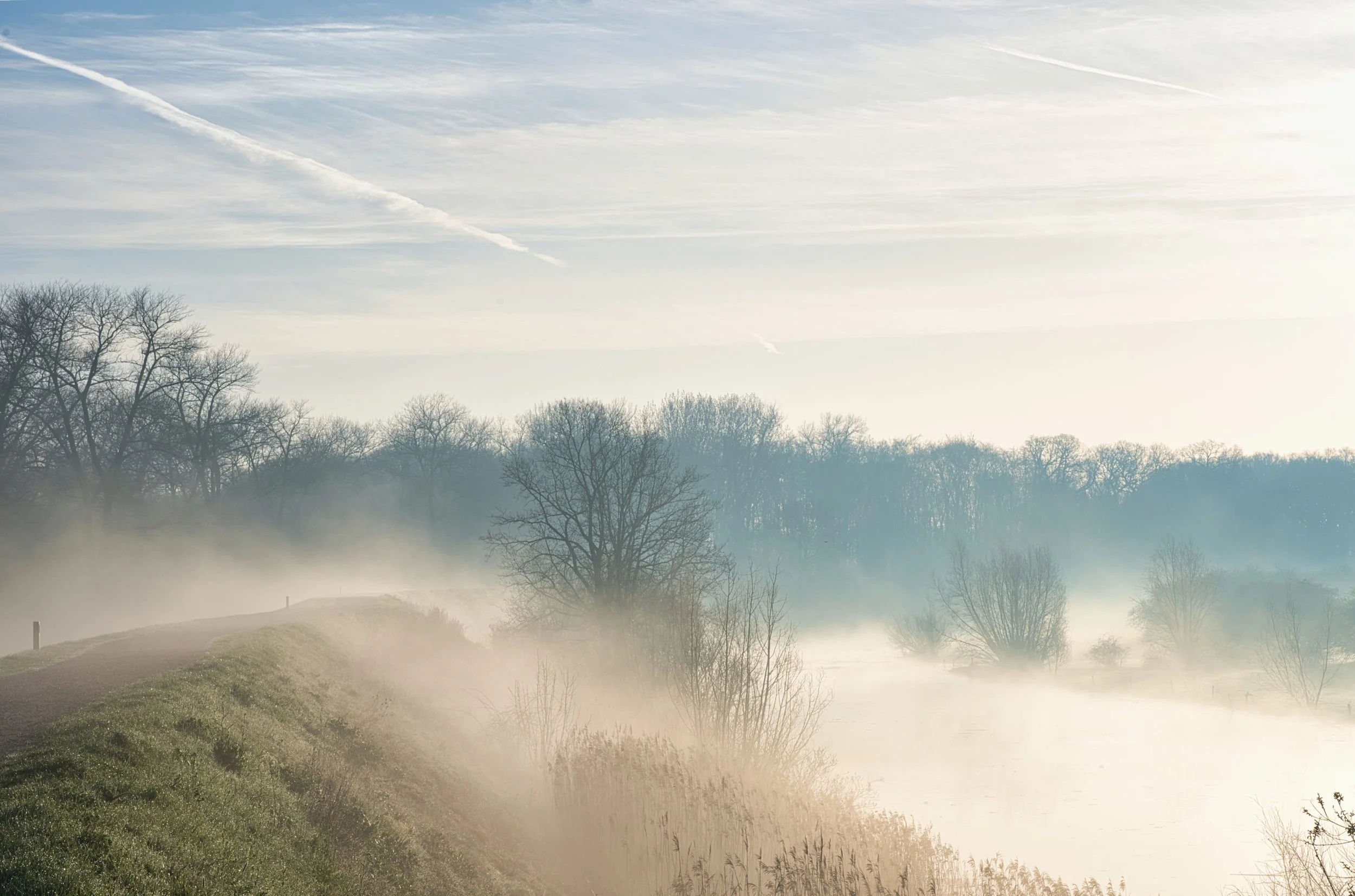 Mist Rising Along the Quiet Path.