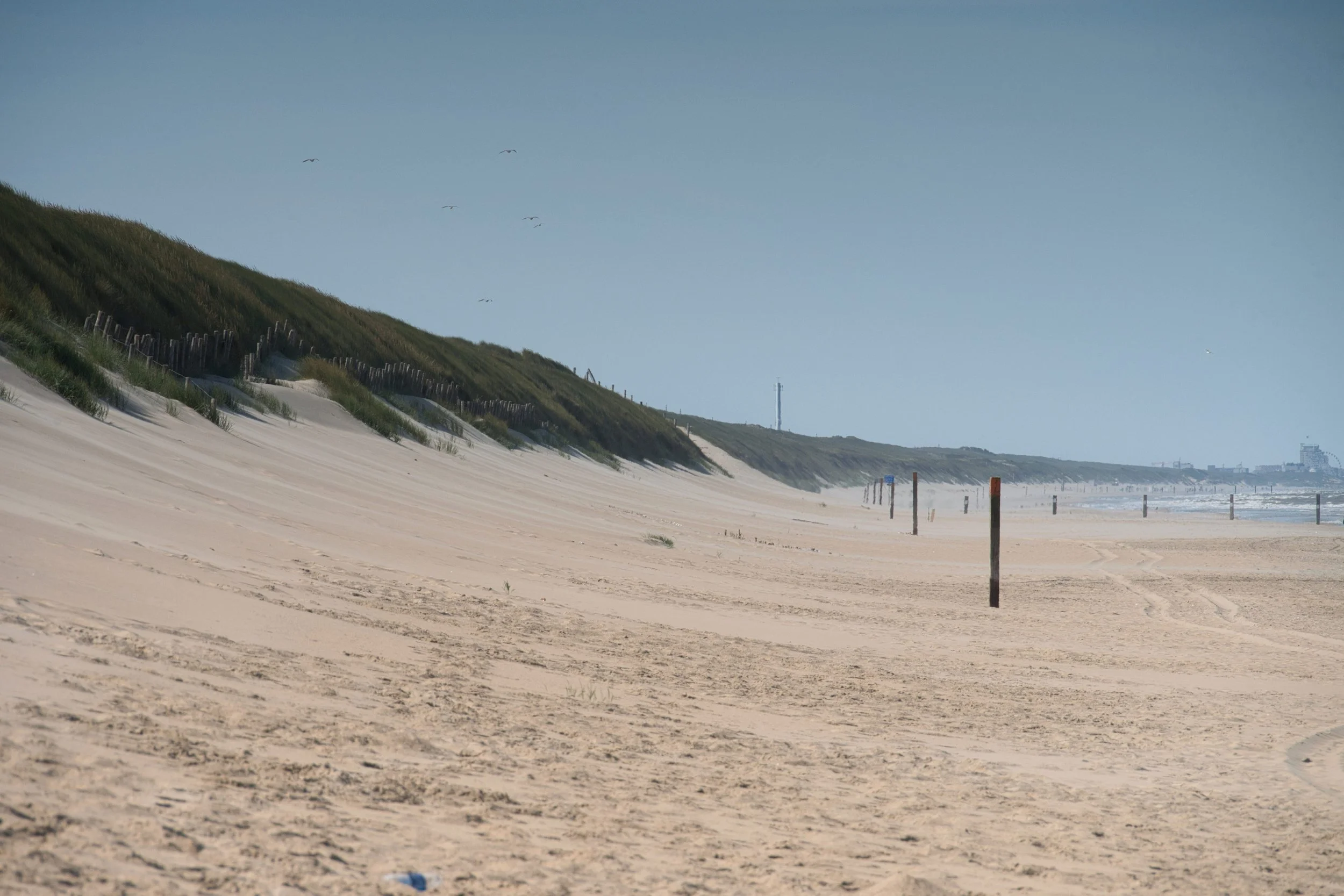 Een strand met zand en enkele stolpen in de voorgrond, heuvels met gras aan de zijkanten, en een heldere blauwe lucht met enkele vliegende vogels.