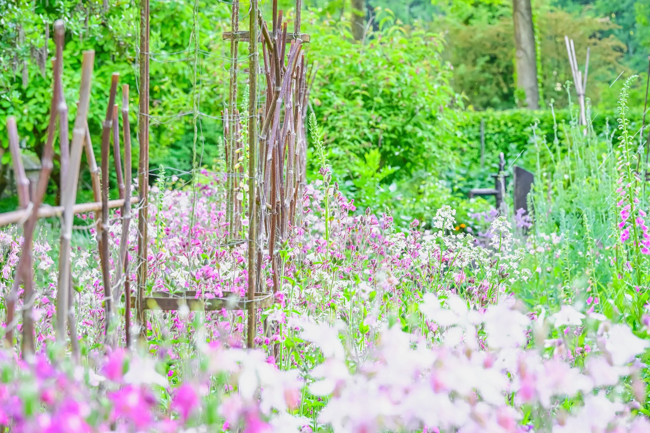Fotokunst van een bloemenveld met paarse bloemen en een rustige uitstraling voor in het interieur door Vague and Form by Rogier van Bunnik.