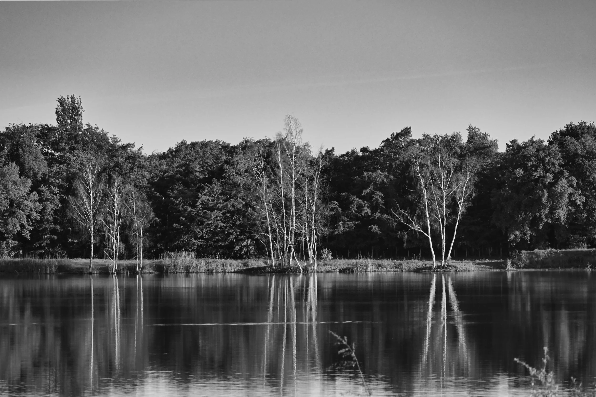 Z63_1321.jpg