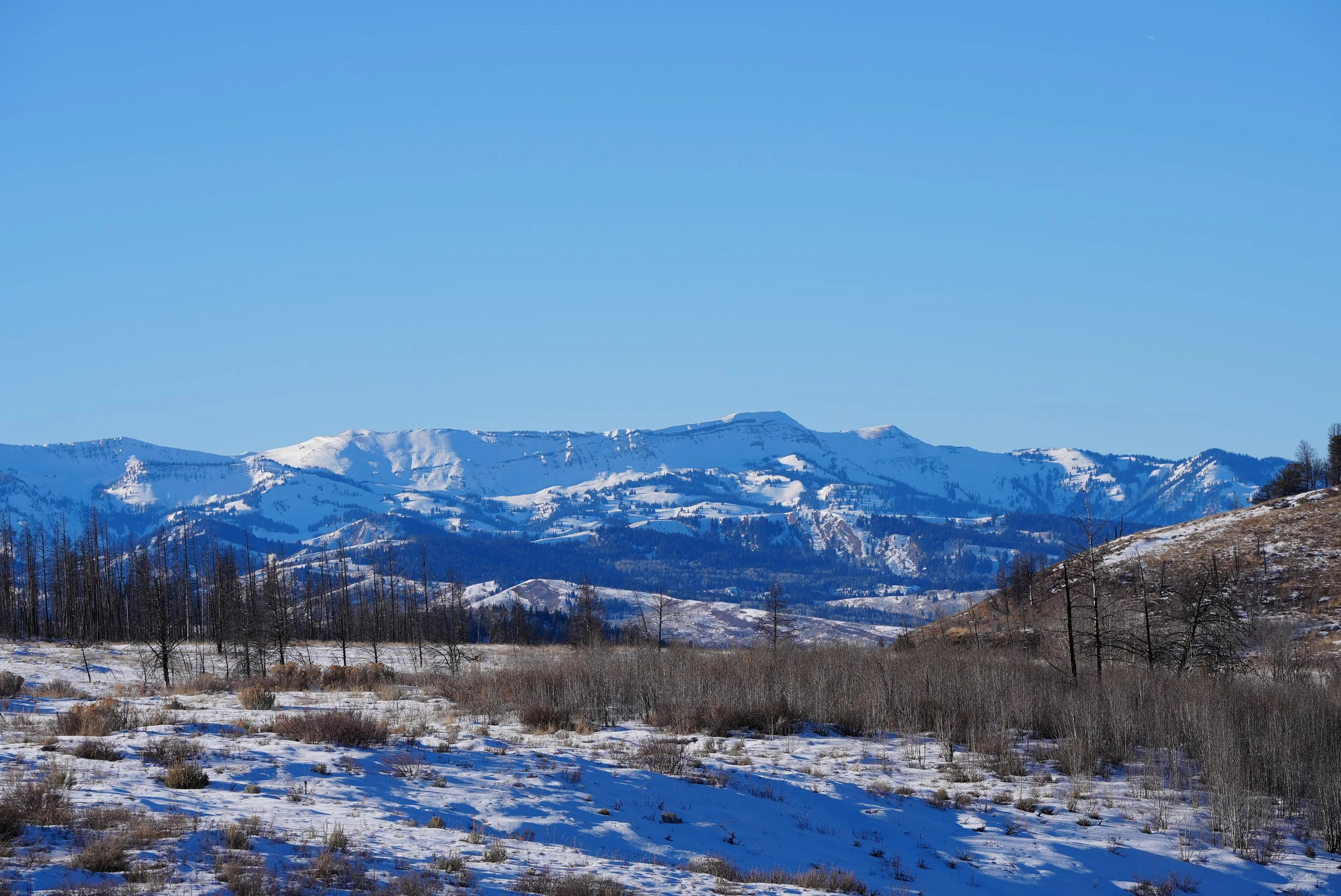 DSC00053.JPG