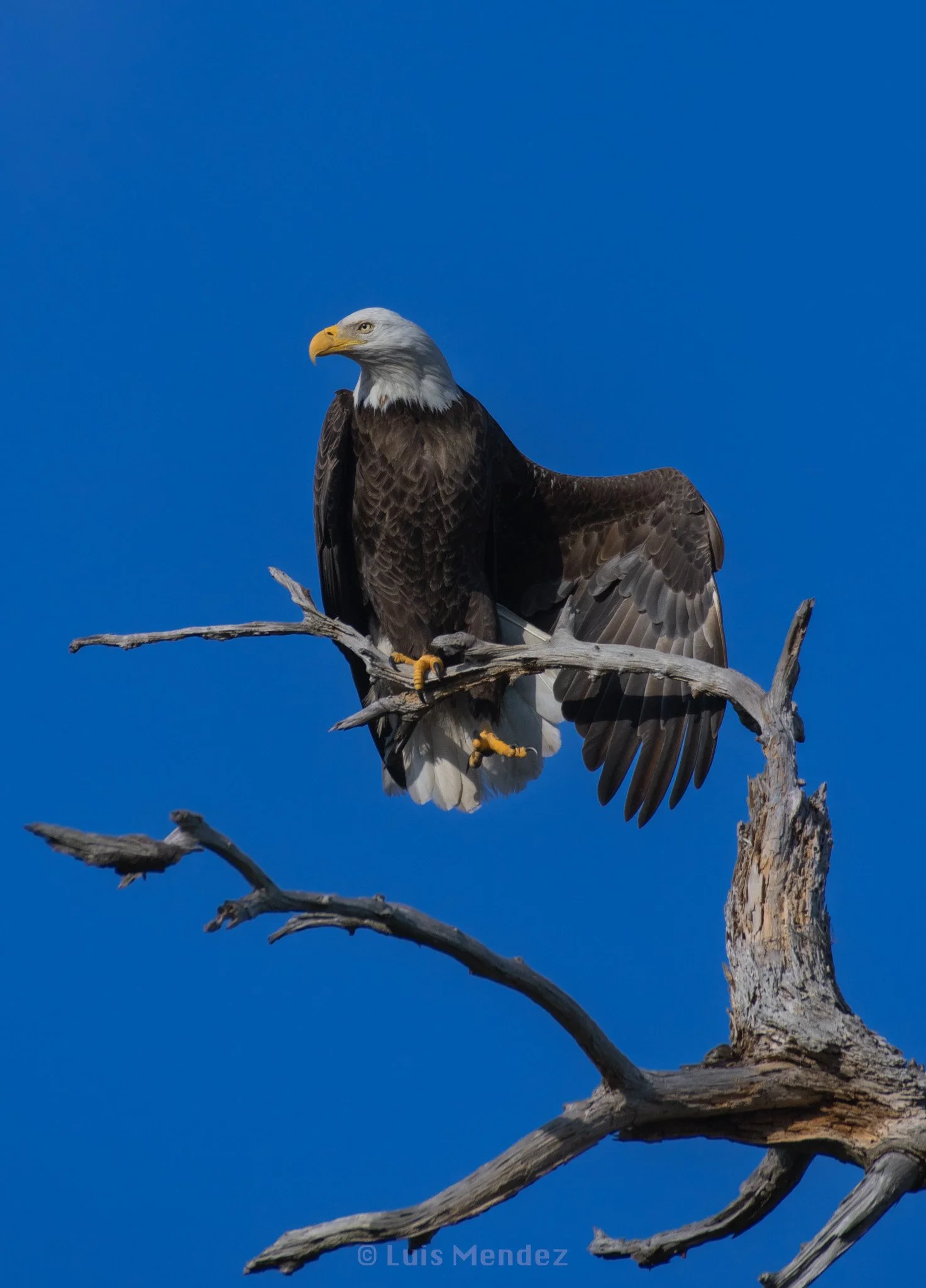 DSC_5757.jpg