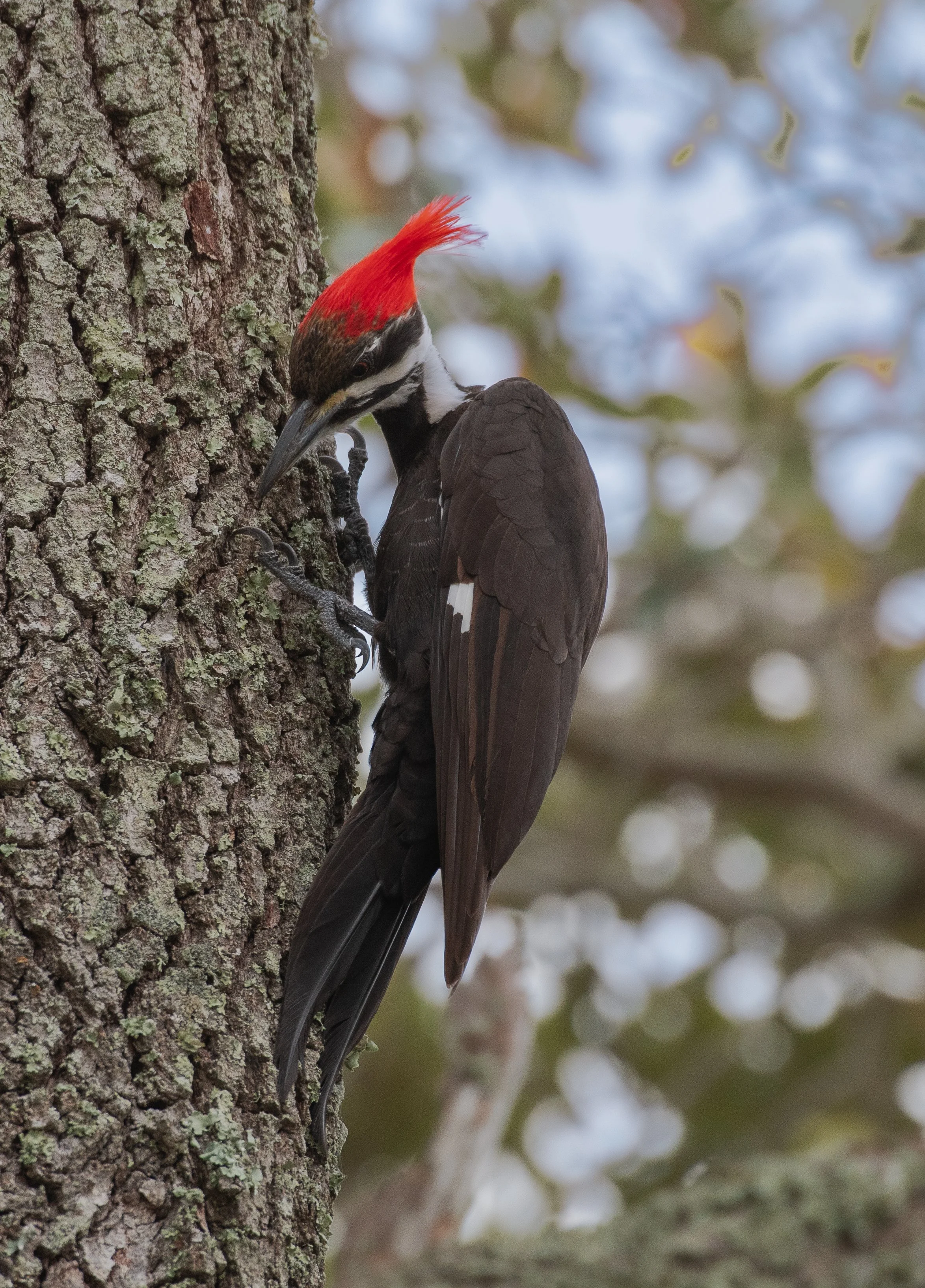 DSC_6730.jpg