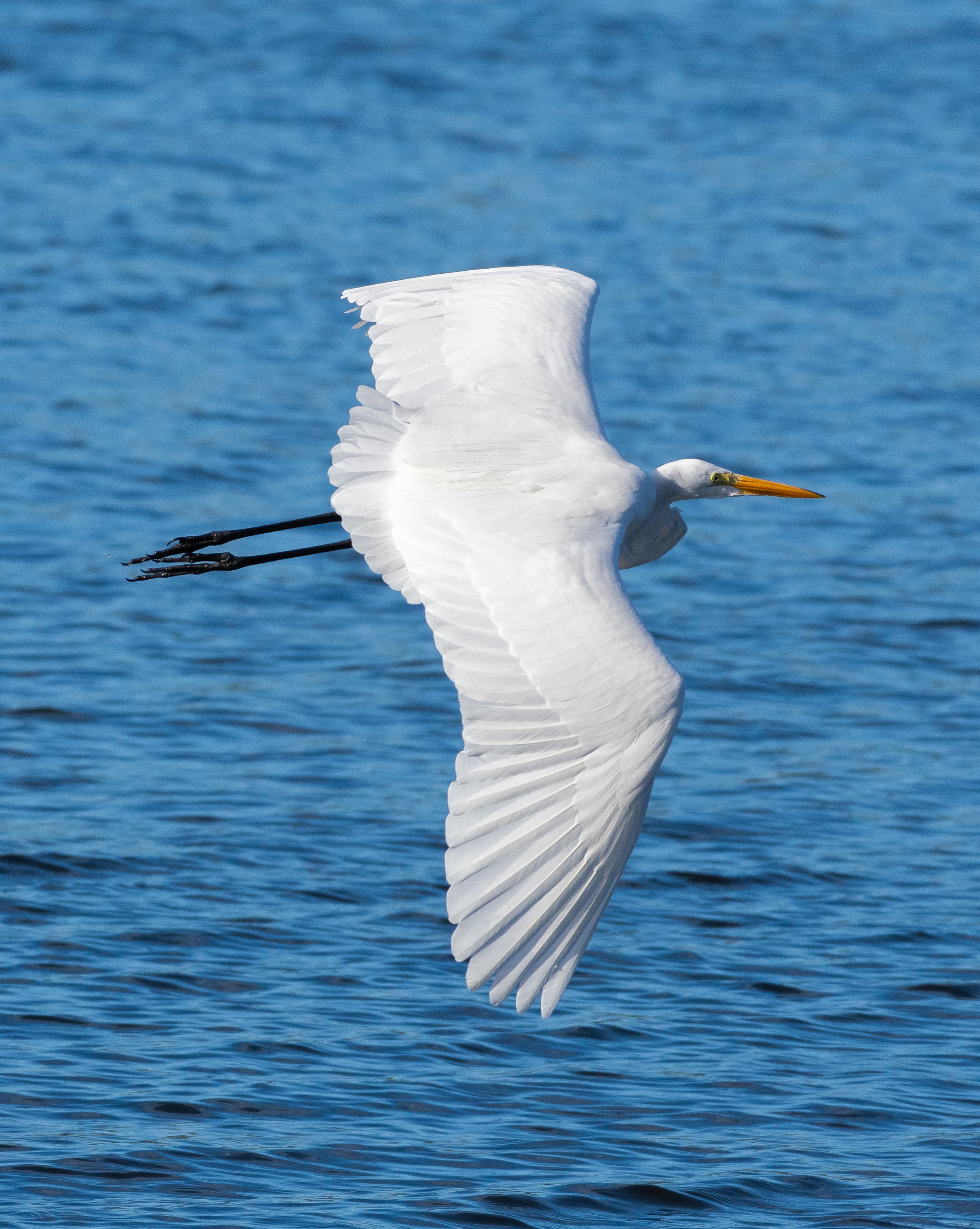 DSC_4359.jpg