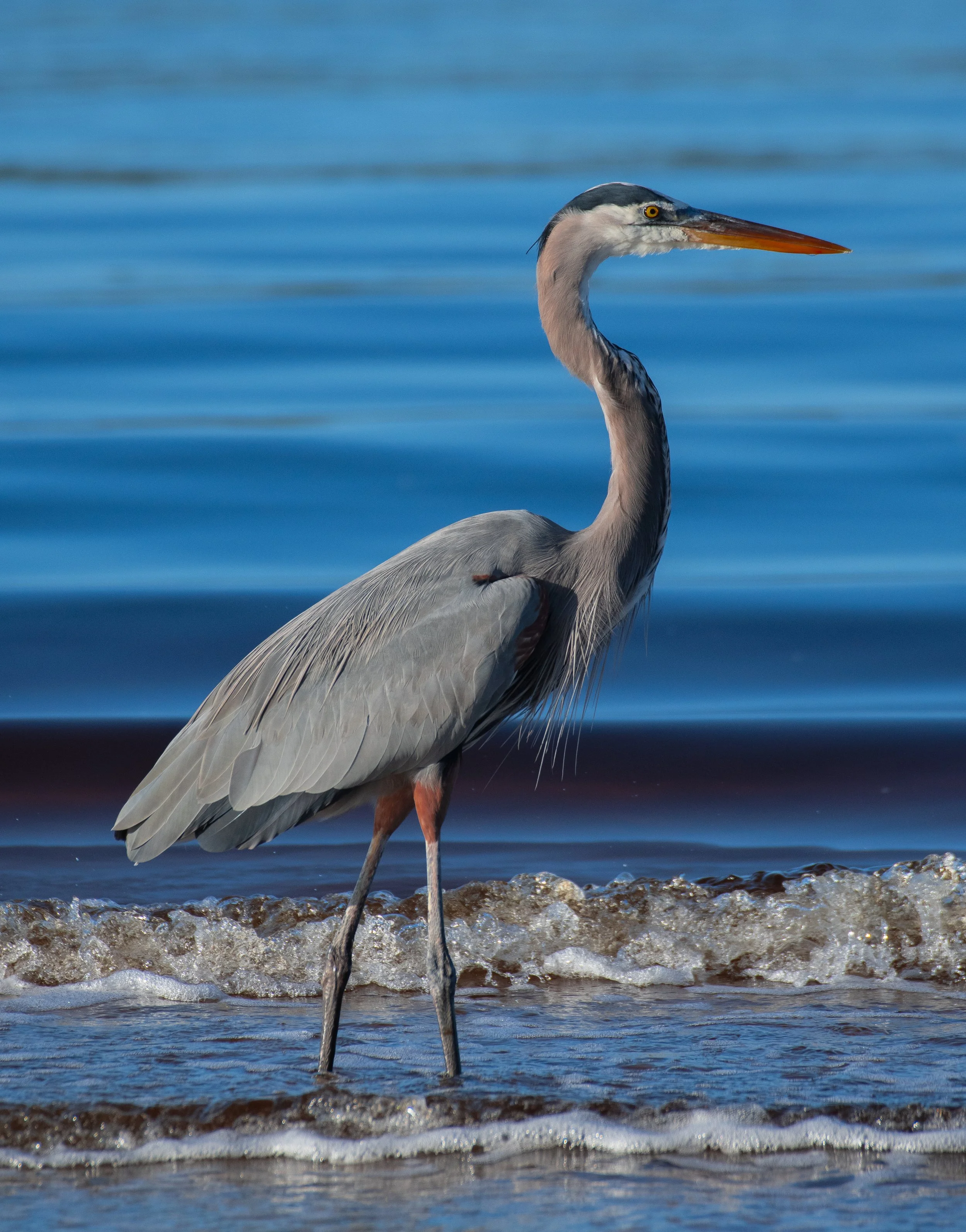 DSC_3362.jpg