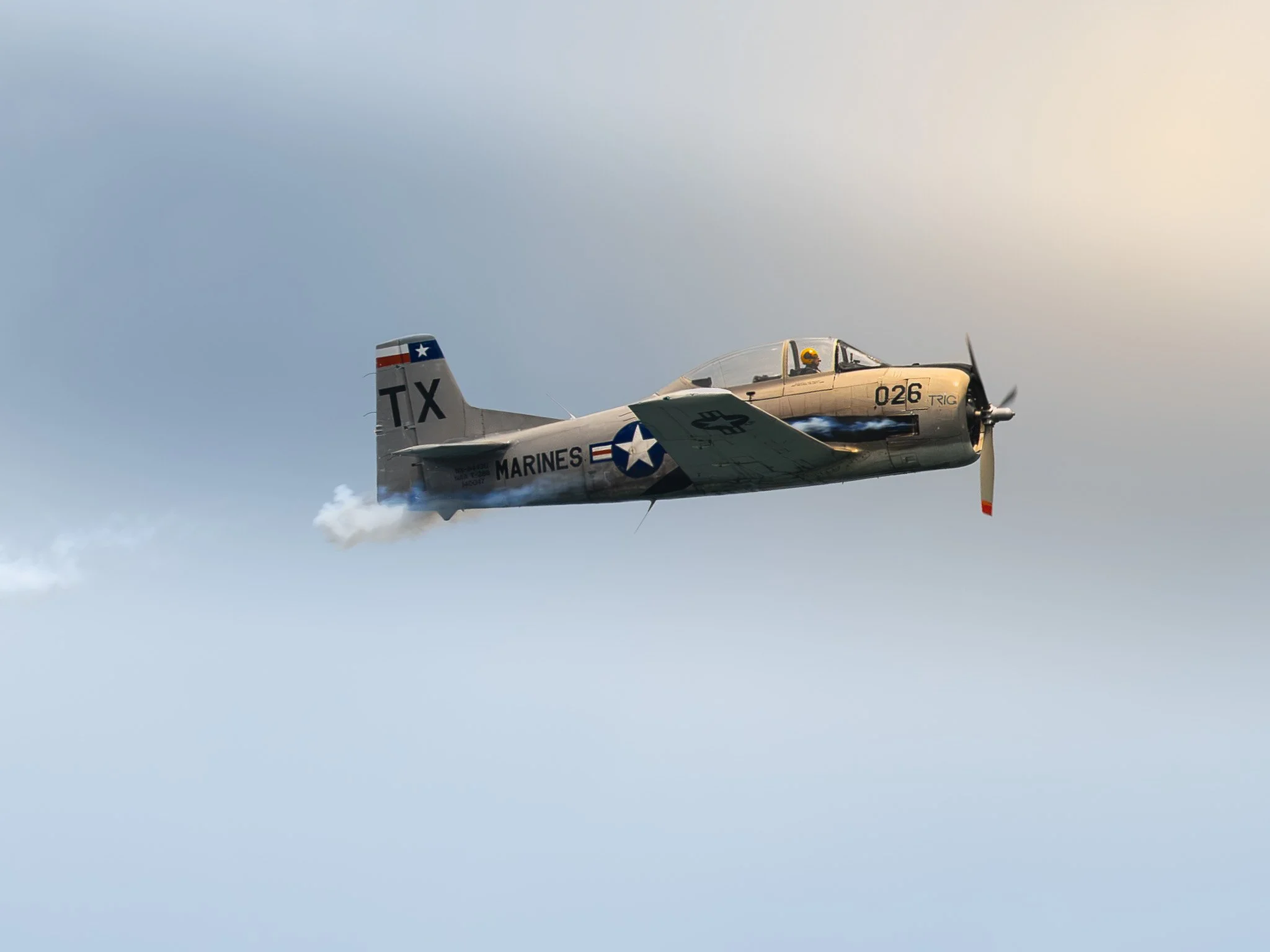 LZ8_3754.jpg