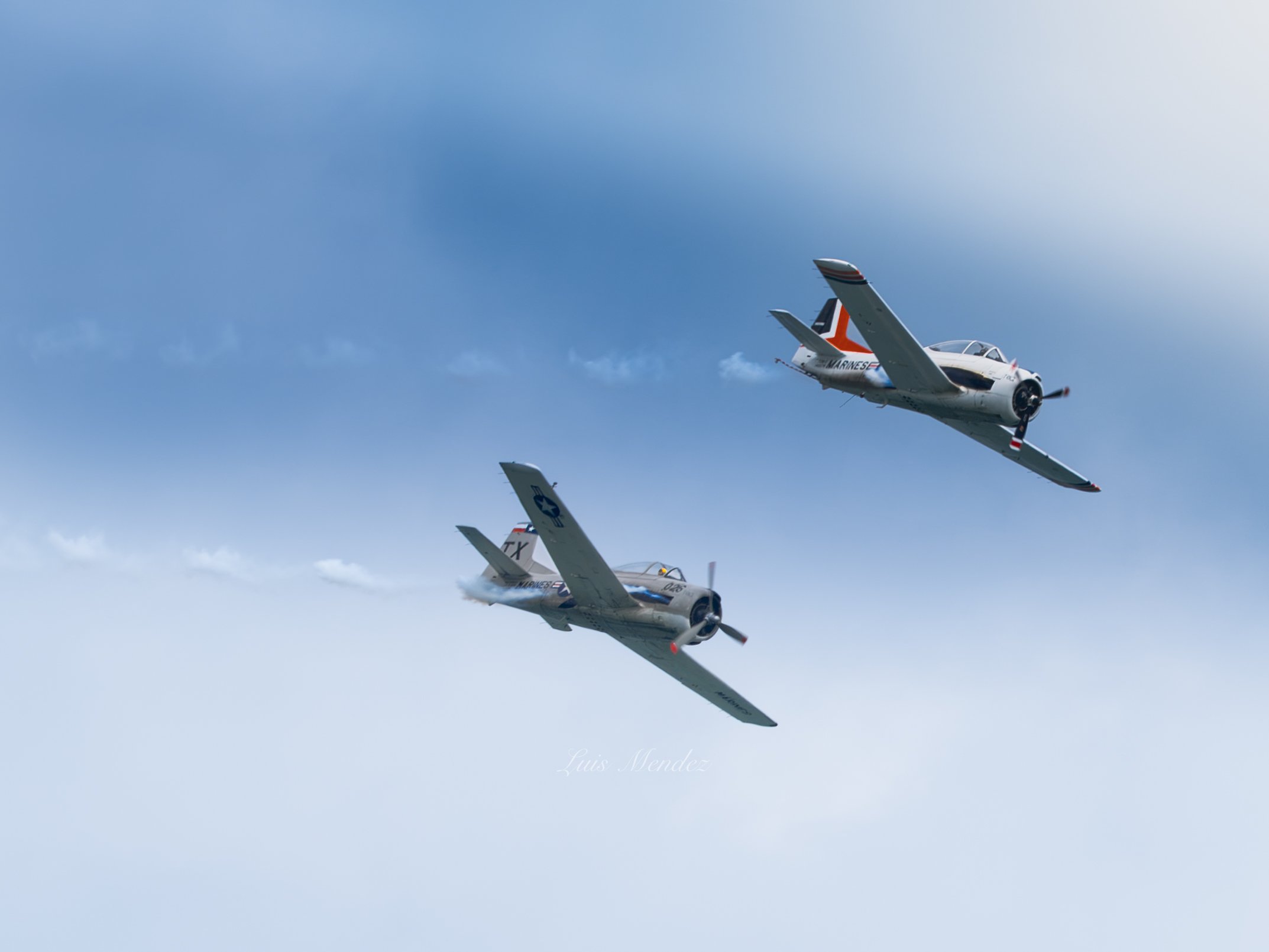 LZ8_3767.jpg