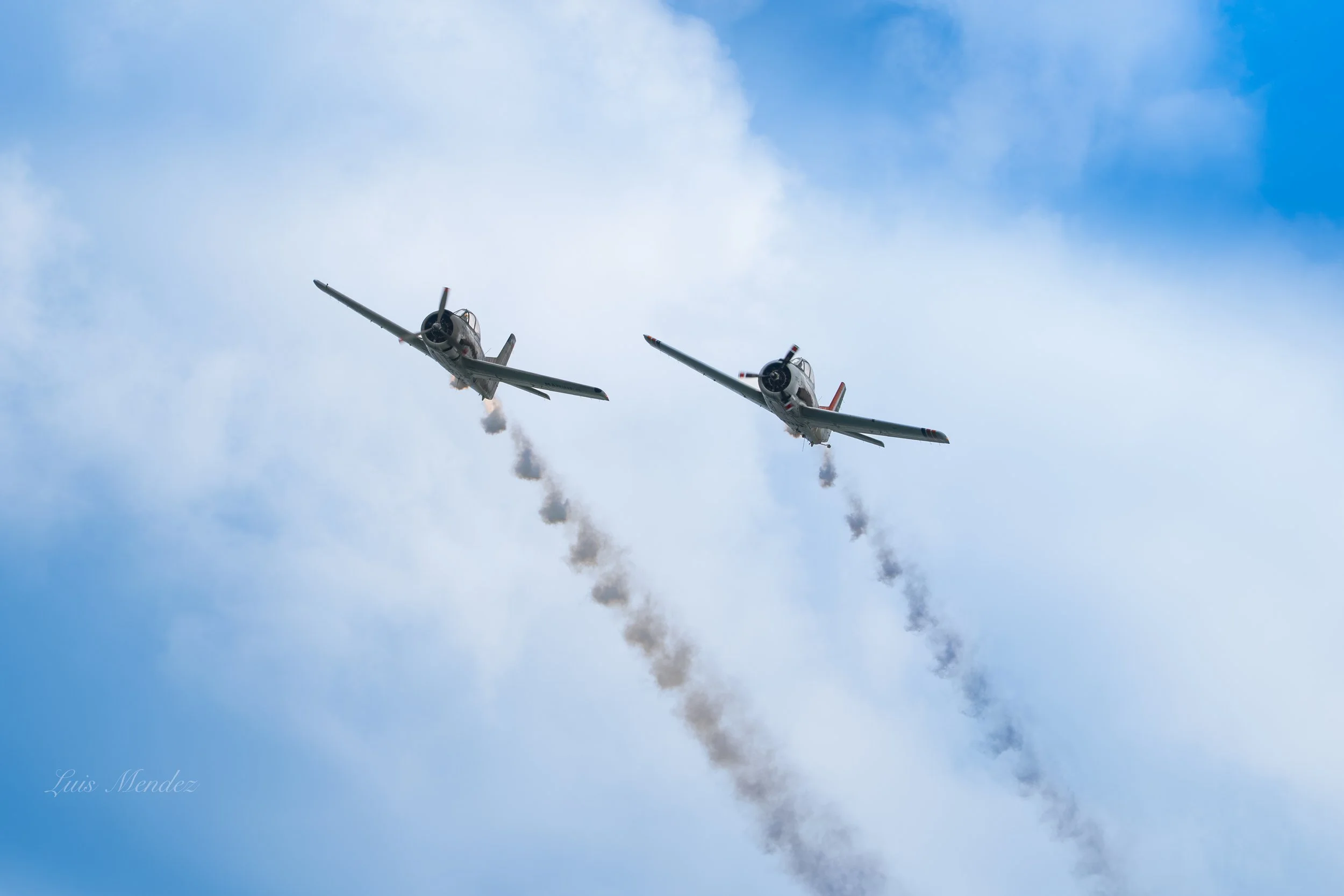 LZ8_3799.jpg