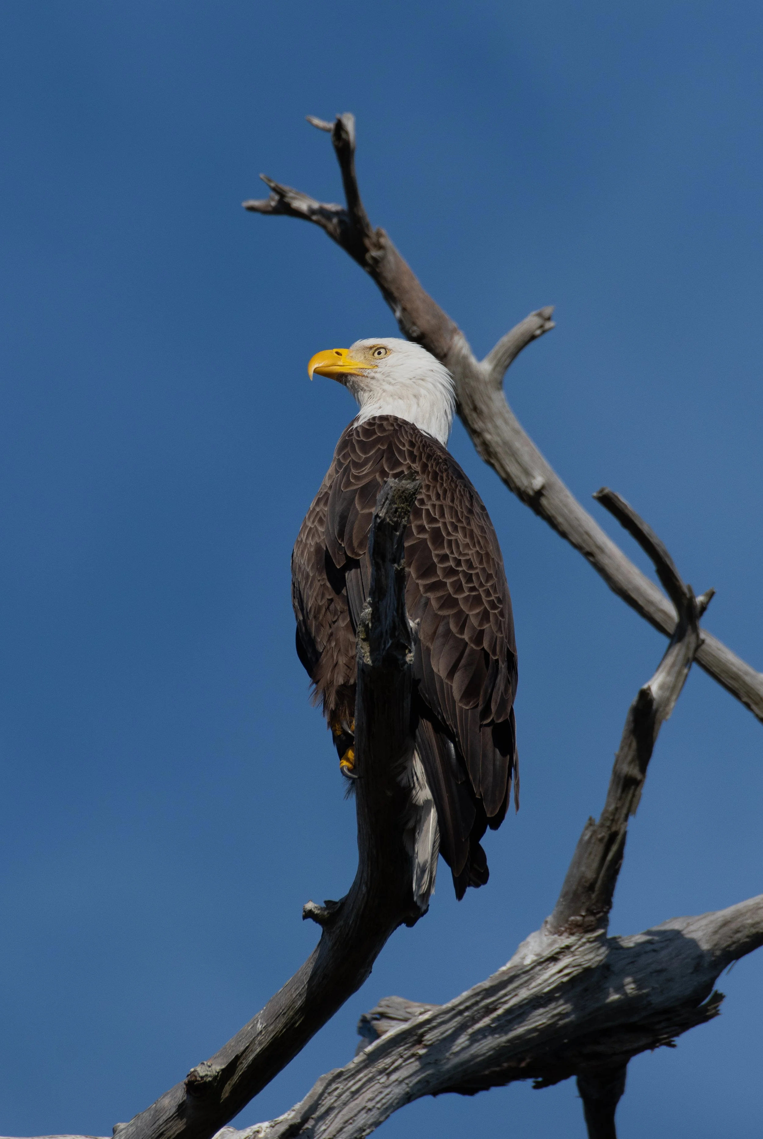 DSC_7758.jpg