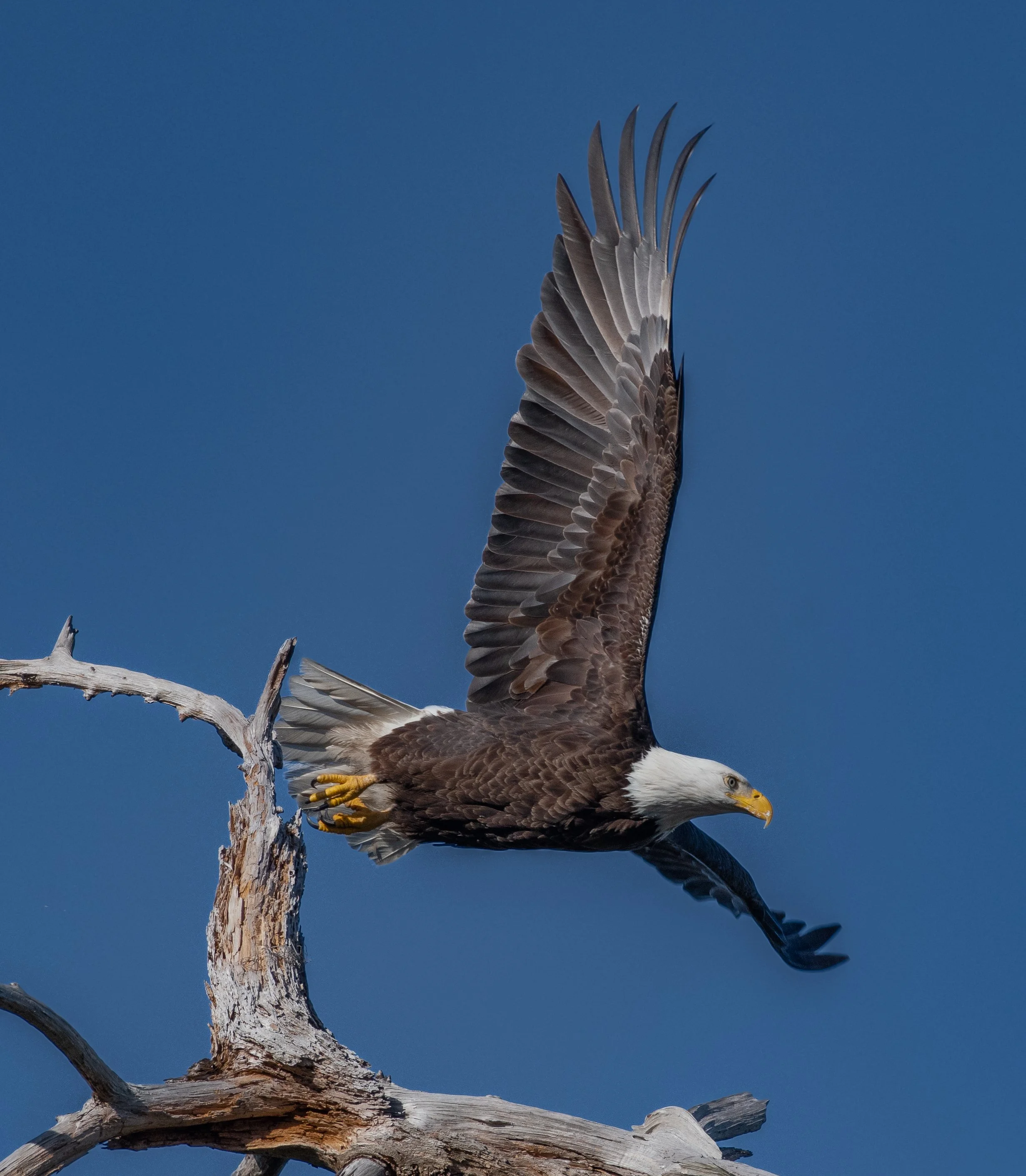 DSC_5772.jpg