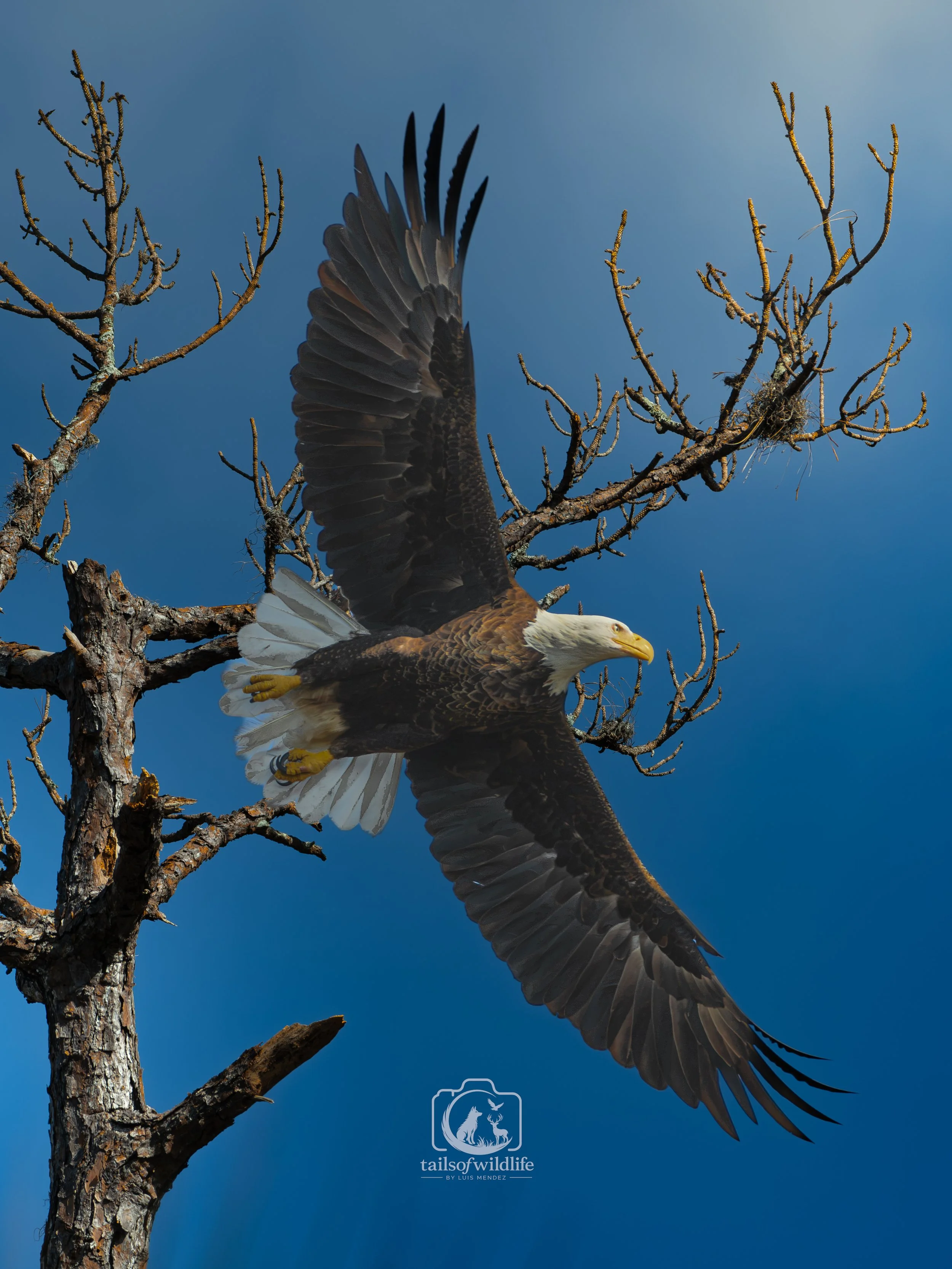 DSC_4737.jpg