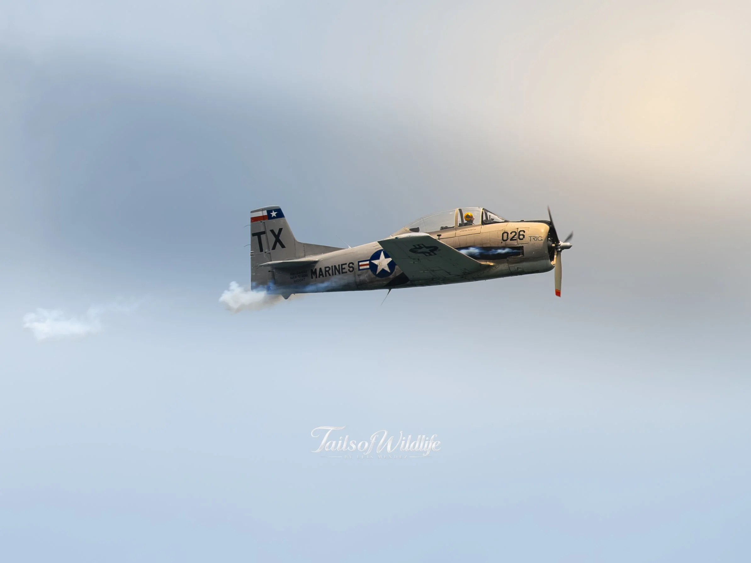 LZ8_3754.jpg
