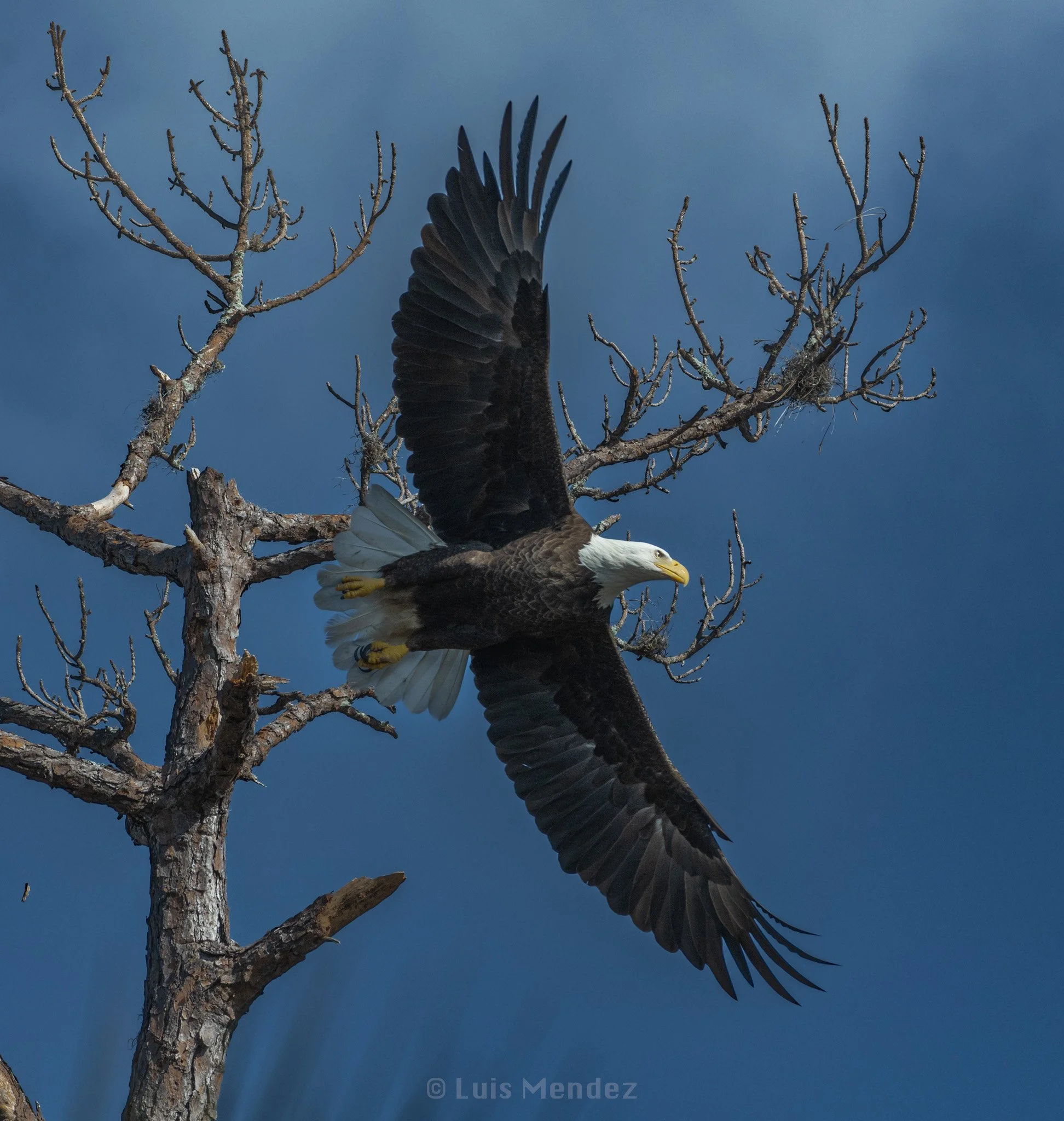 DSC_4737.jpg