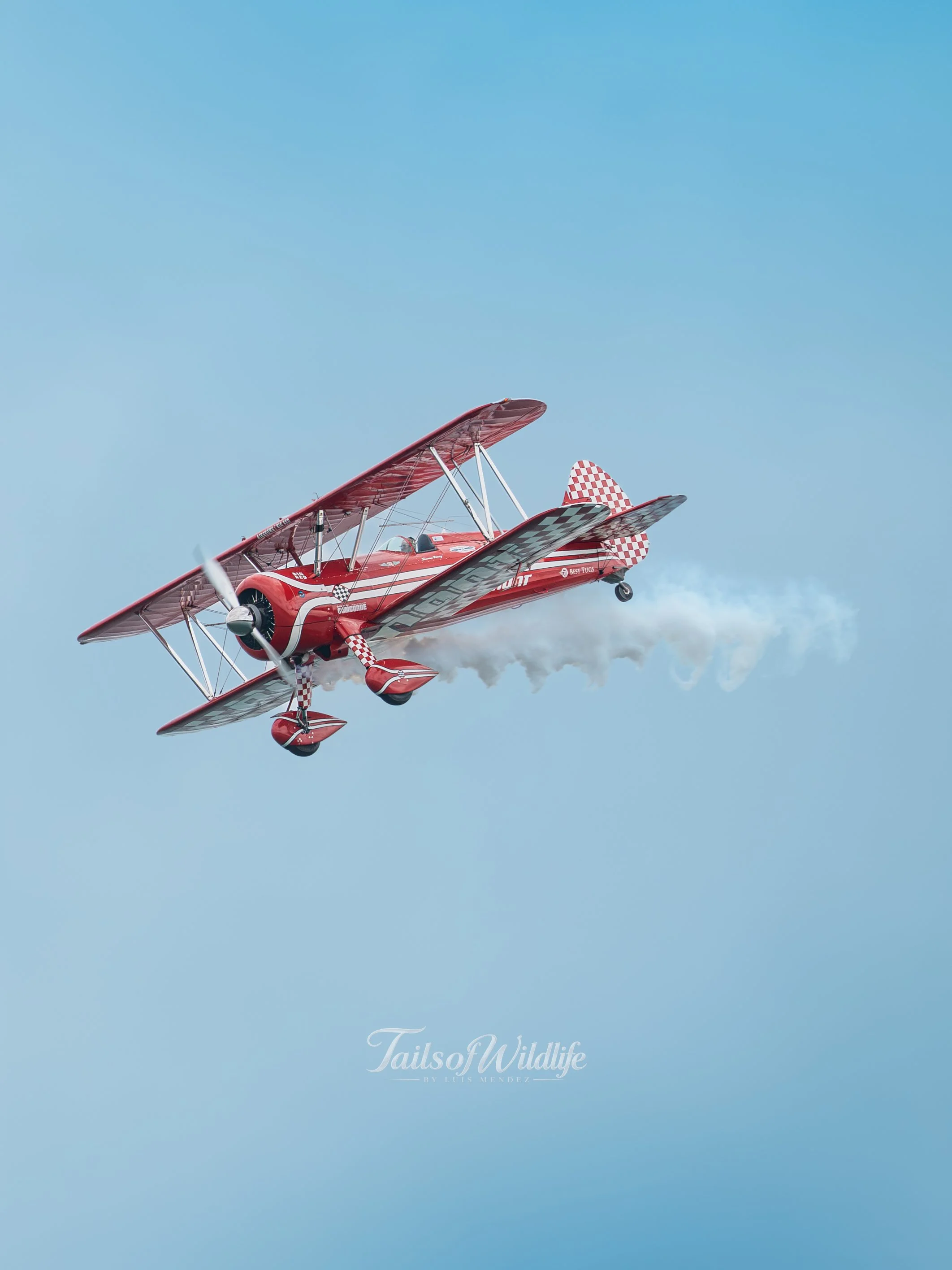 LZ8_3949.jpg