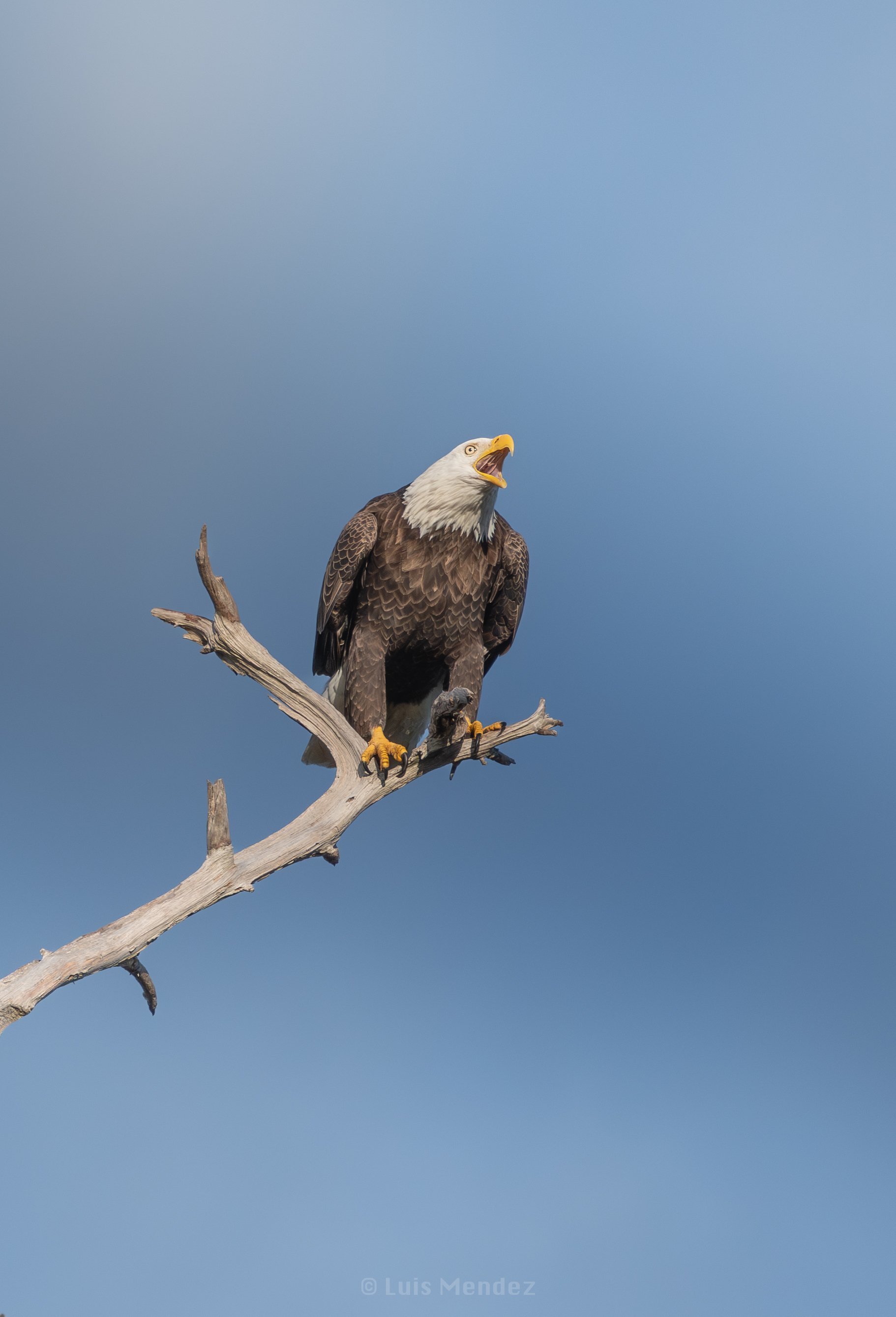 DSC_3859.jpg