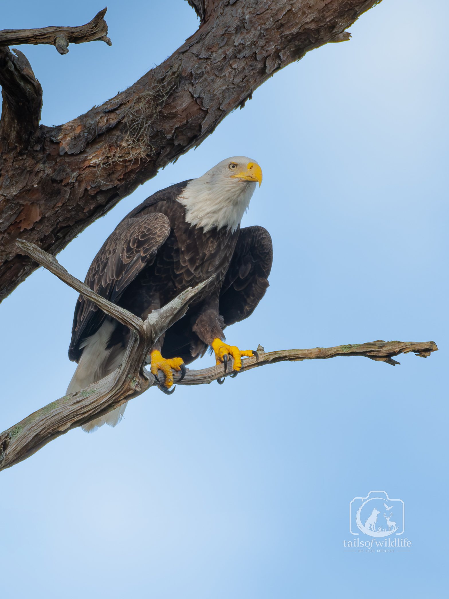 DSC_2885.jpg