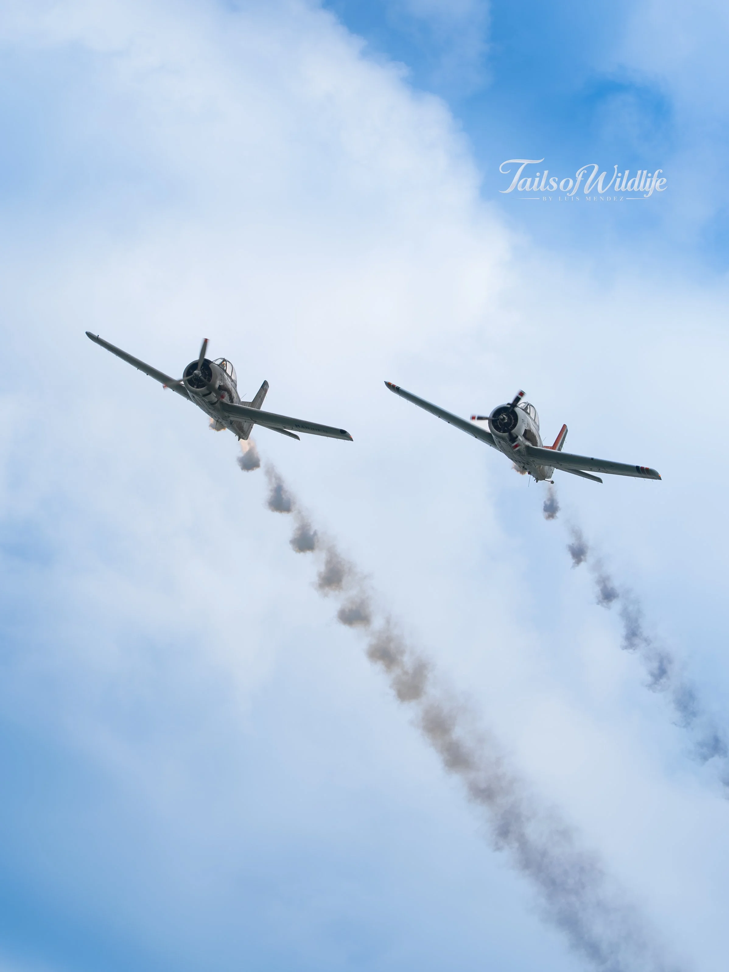 LZ8_3799.jpg