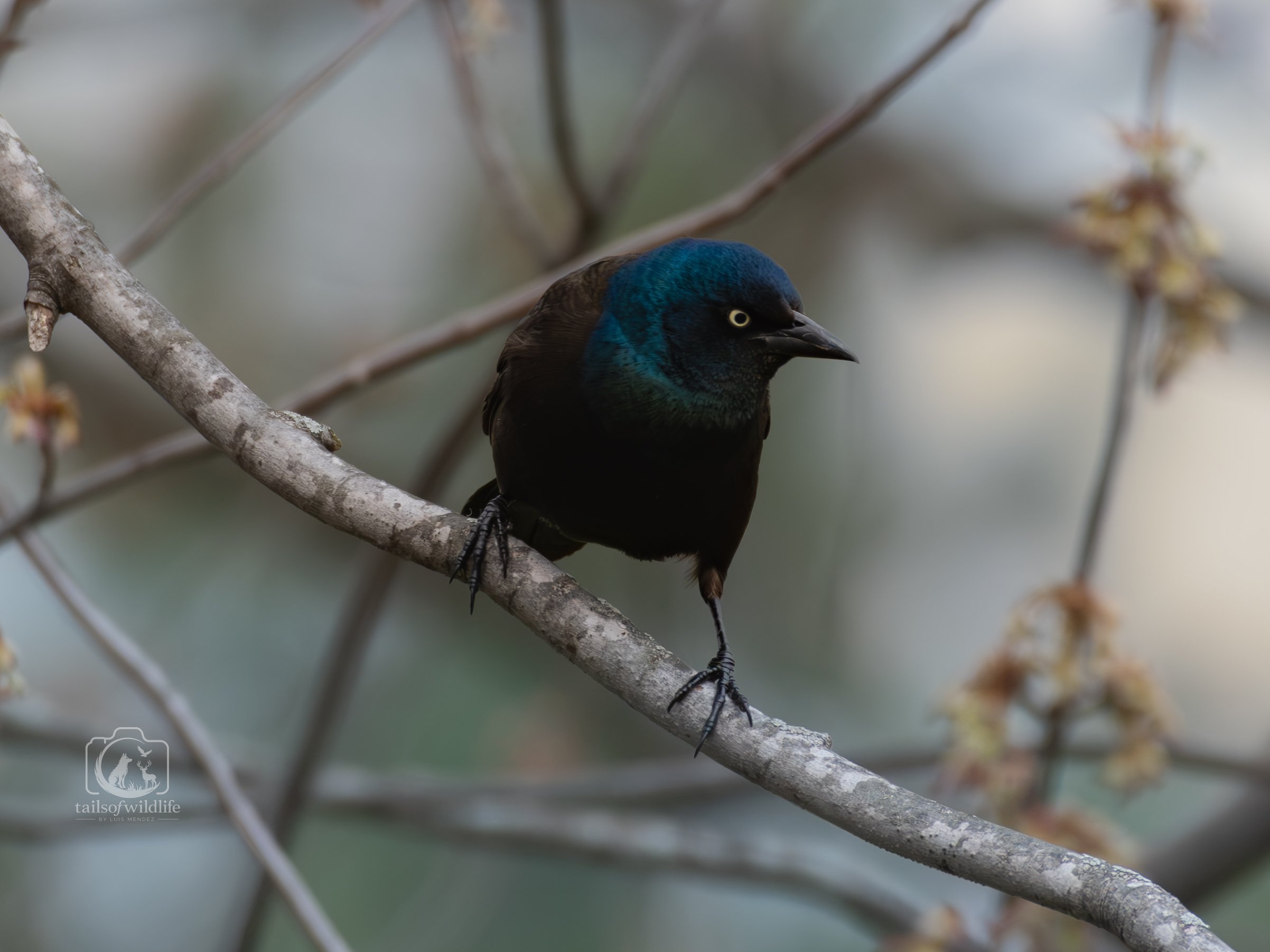 DSC_8855.jpg