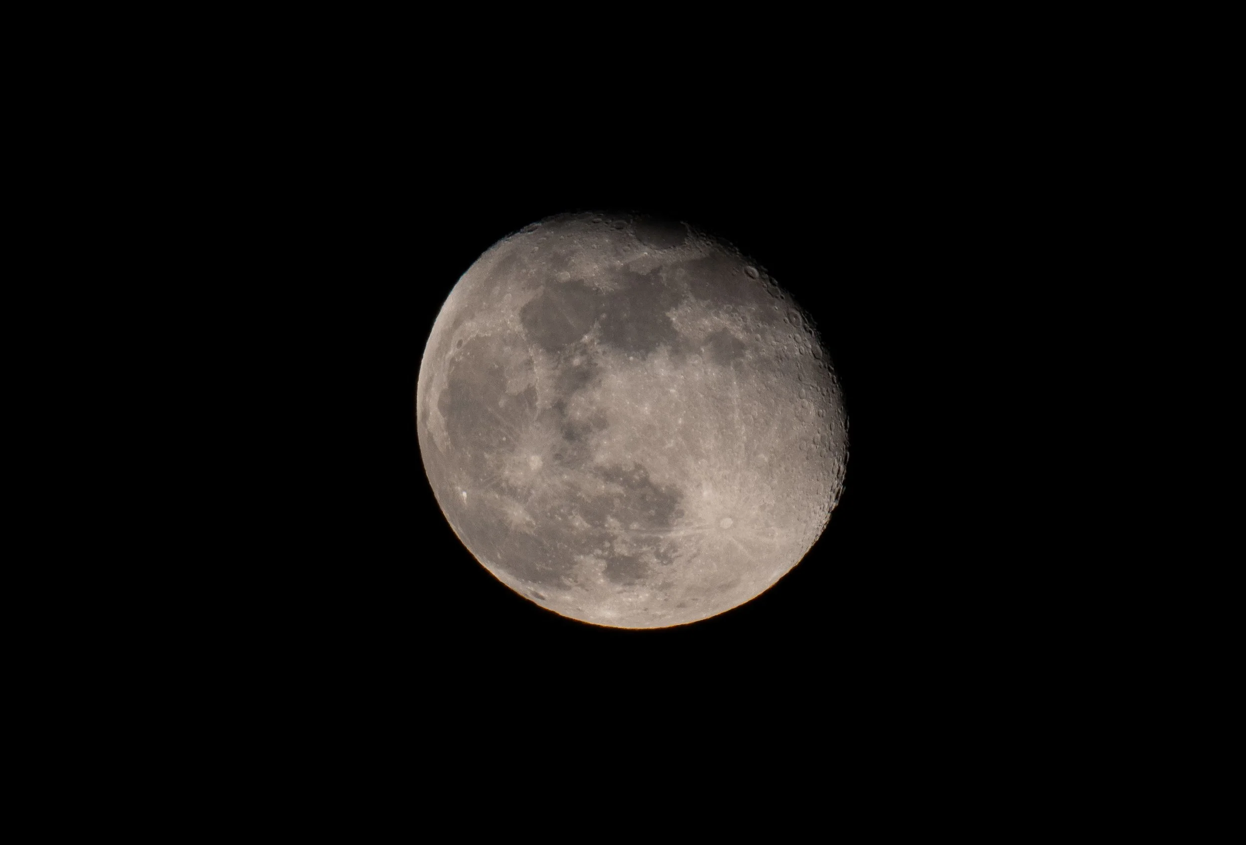 DSC_4826.jpg