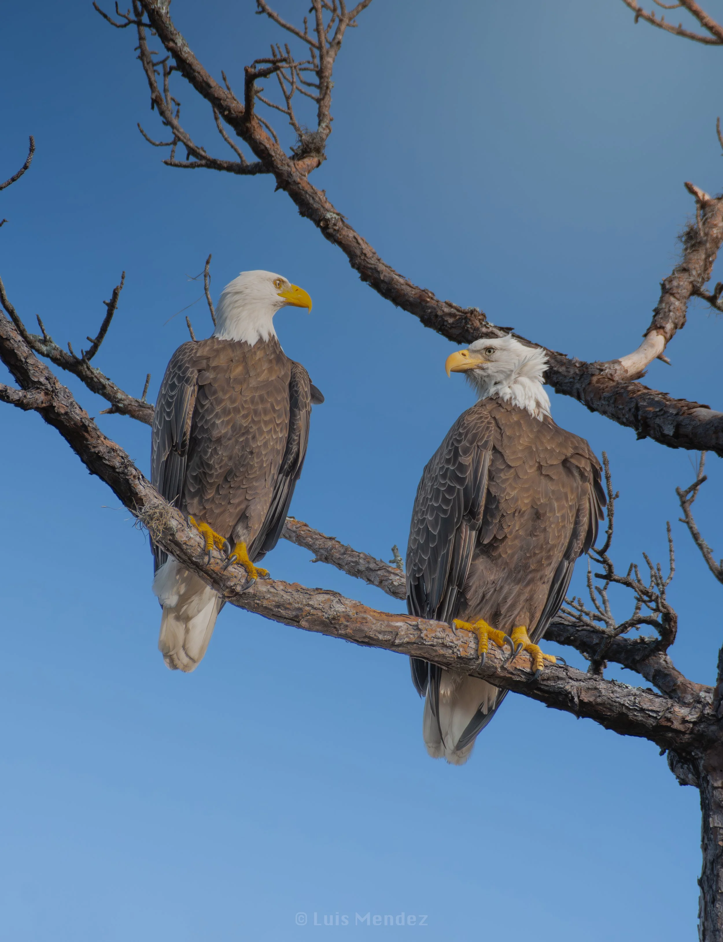 DSC_4718.jpg